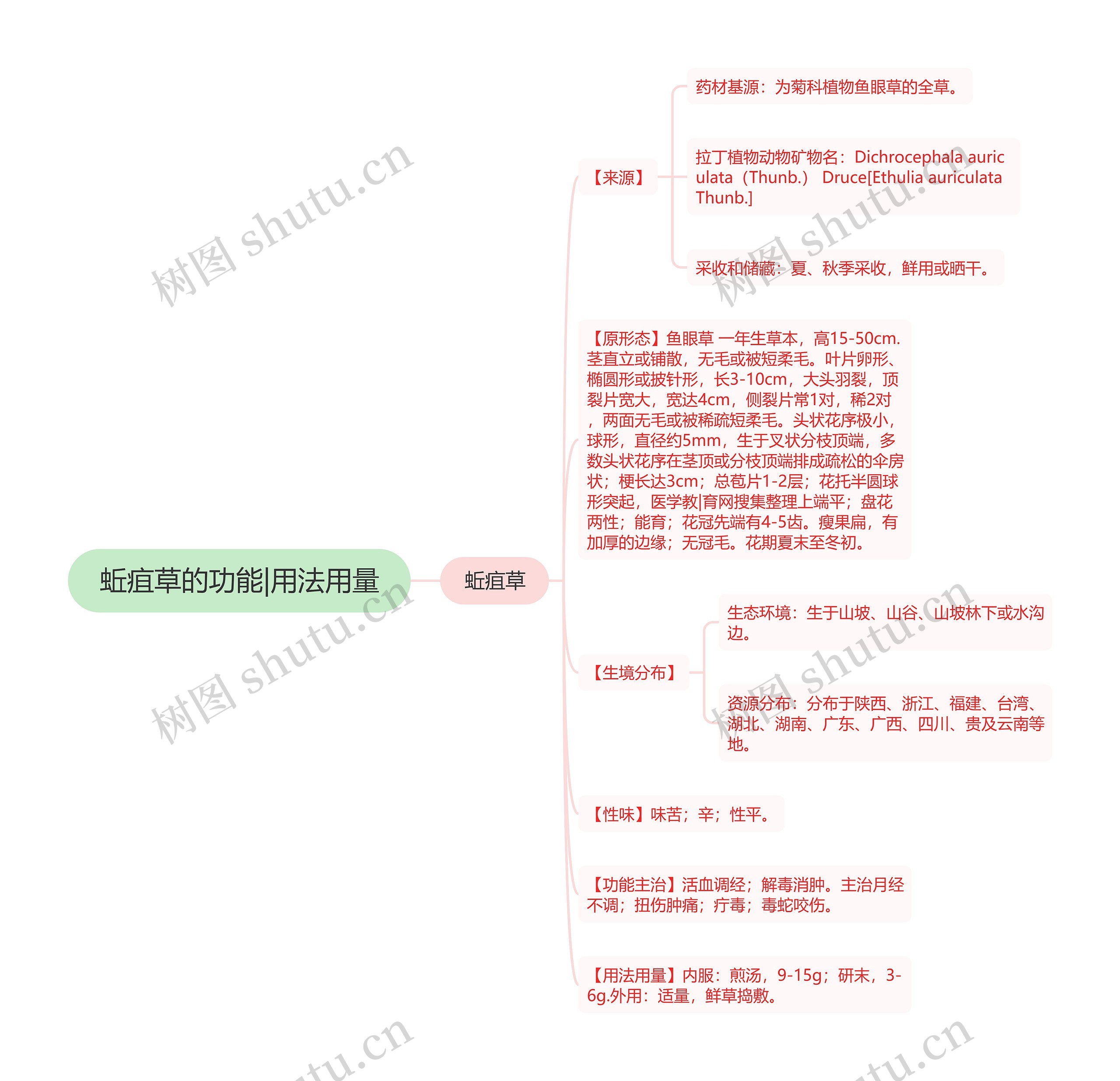 蚯疽草的功能|用法用量 蚯疽草的功能|用法用量