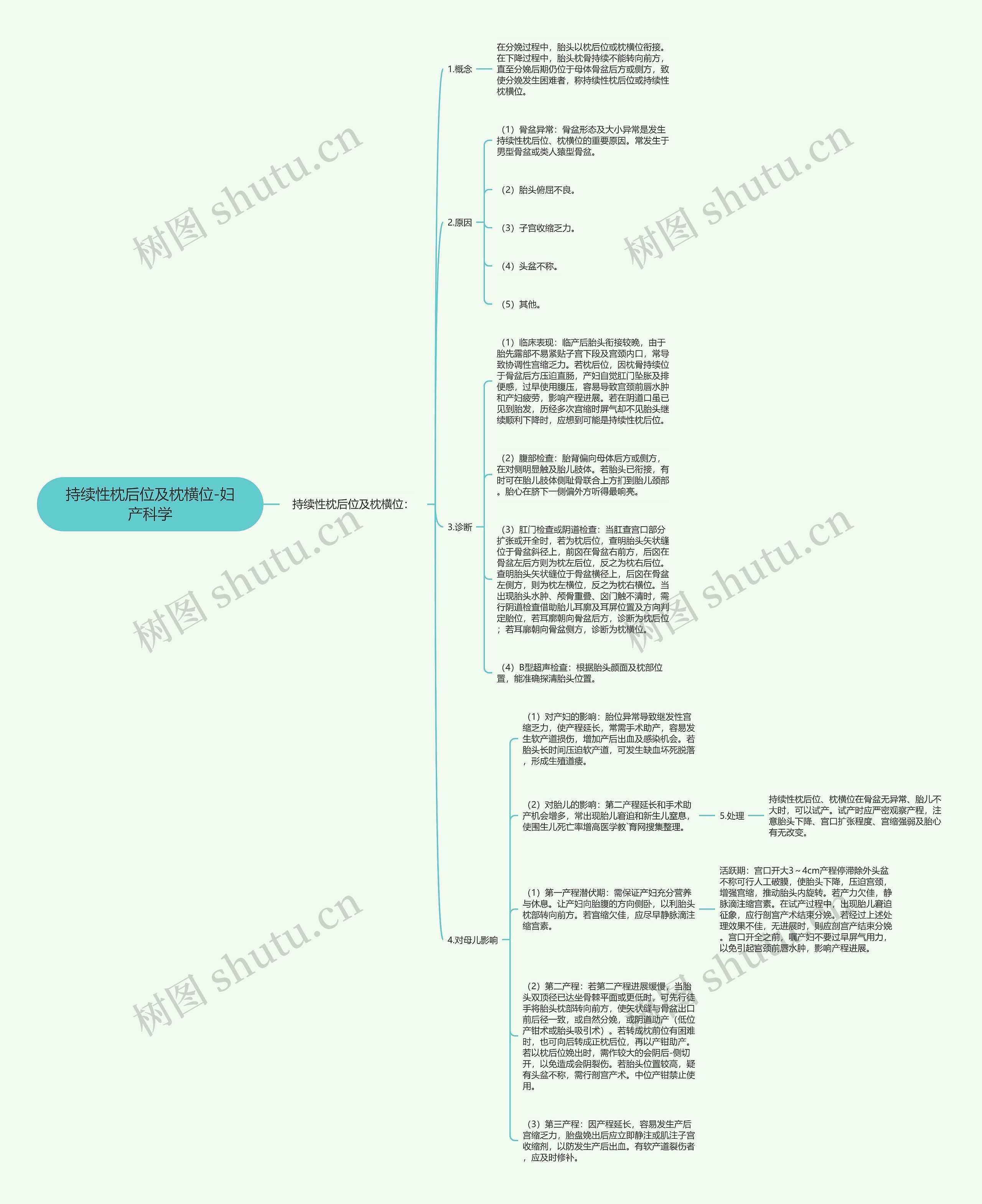 持续性枕后位及枕横位-妇产科学思维导图