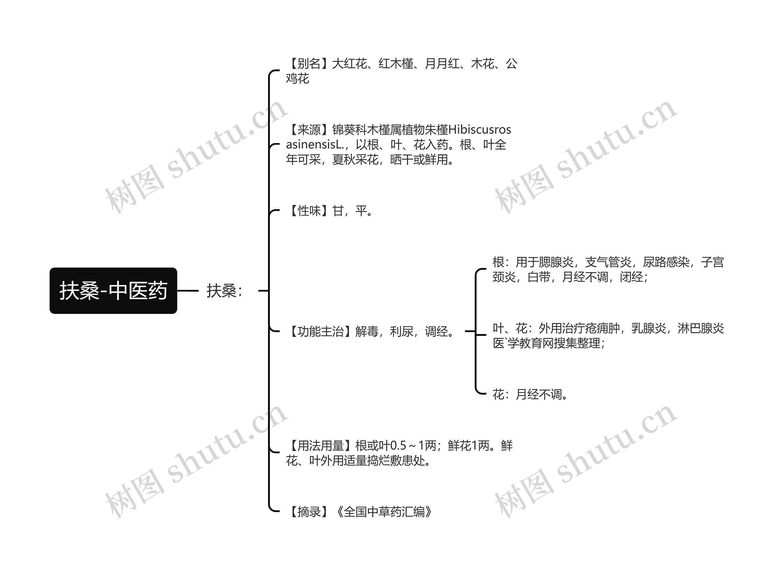 扶桑-中医药思维导图