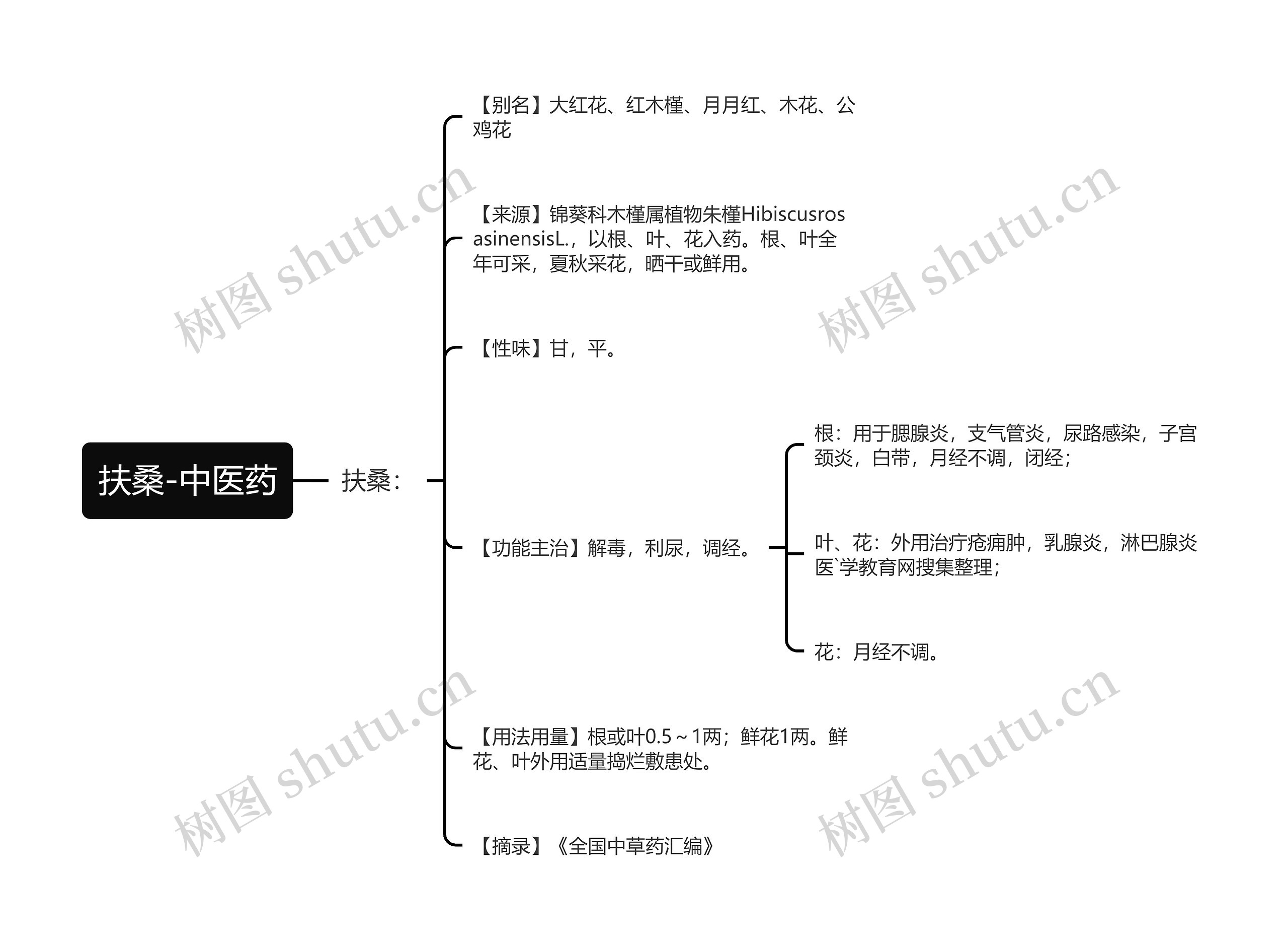 扶桑-中医药 扶桑-中医药