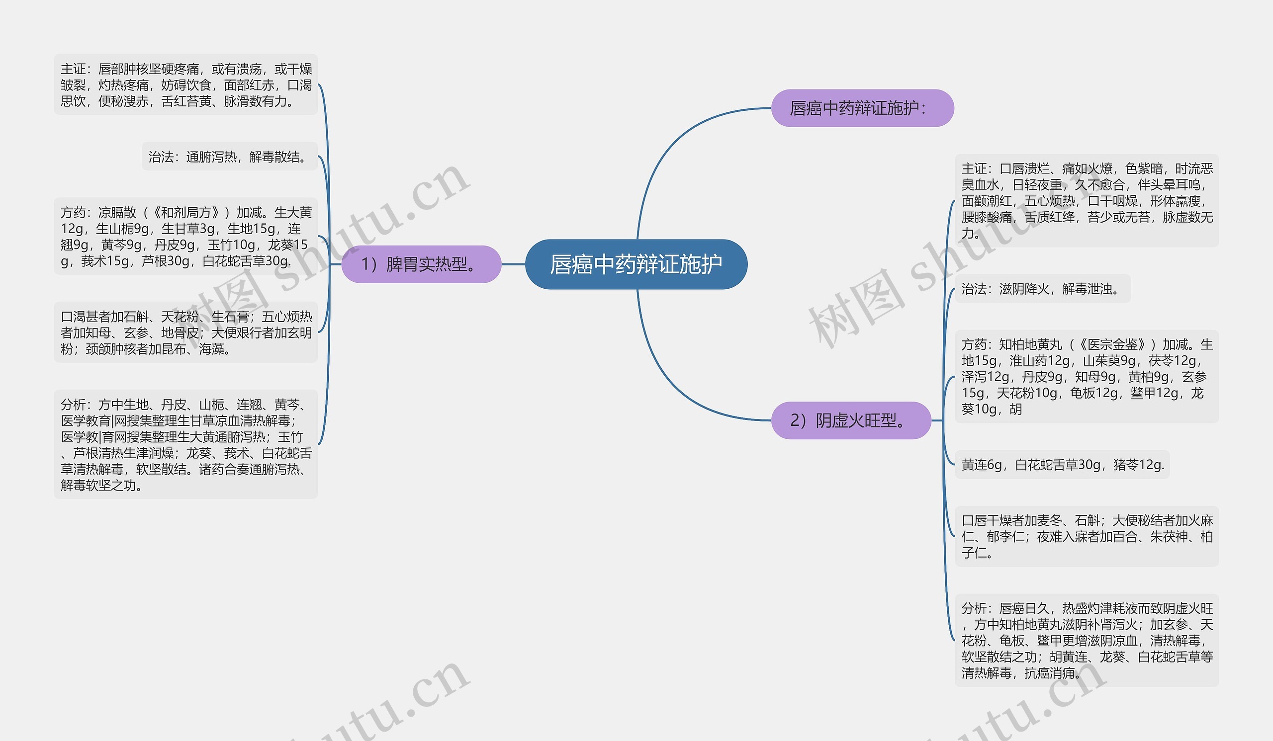 唇癌中药辩证施护思维导图