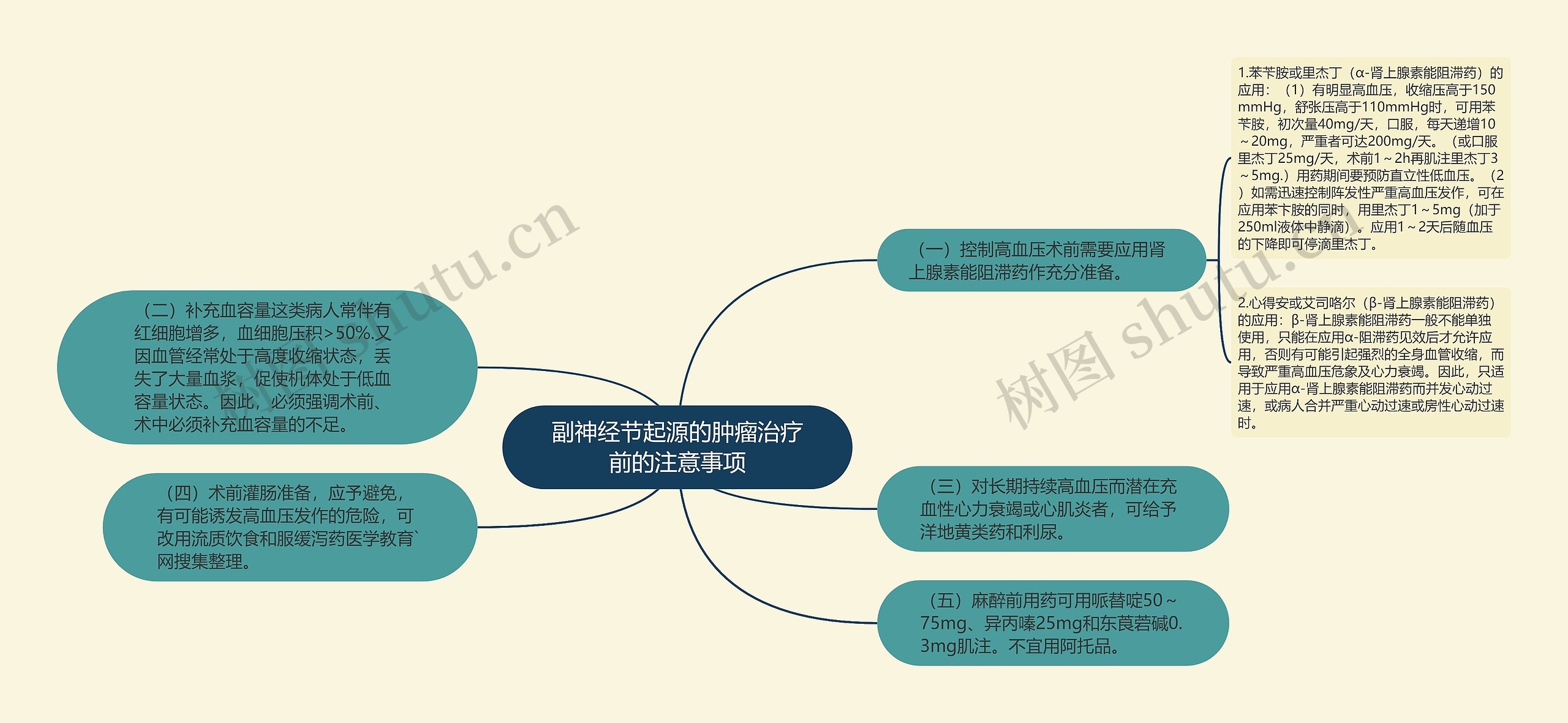 副神经节起源的肿瘤治疗前的注意事项思维导图