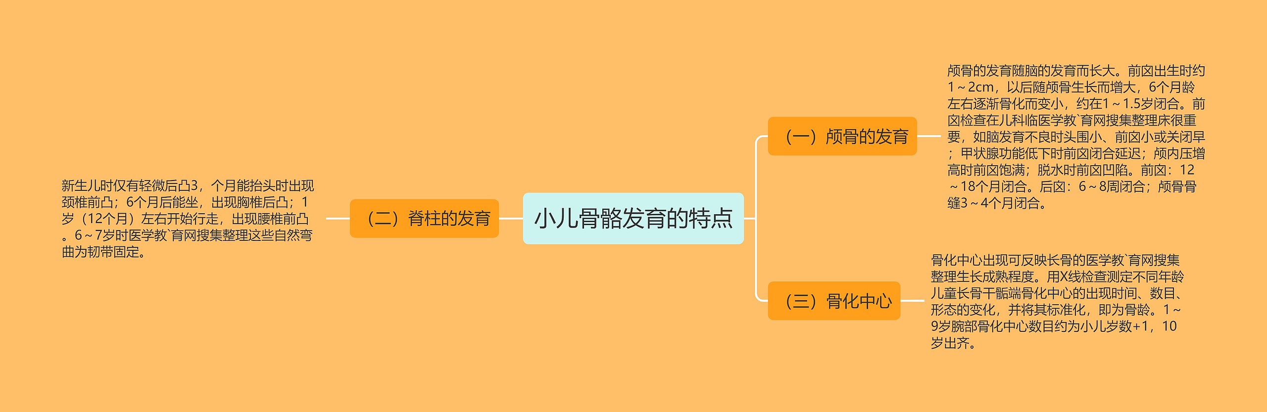 小儿骨骼发育的特点 小儿骨骼发育的特点