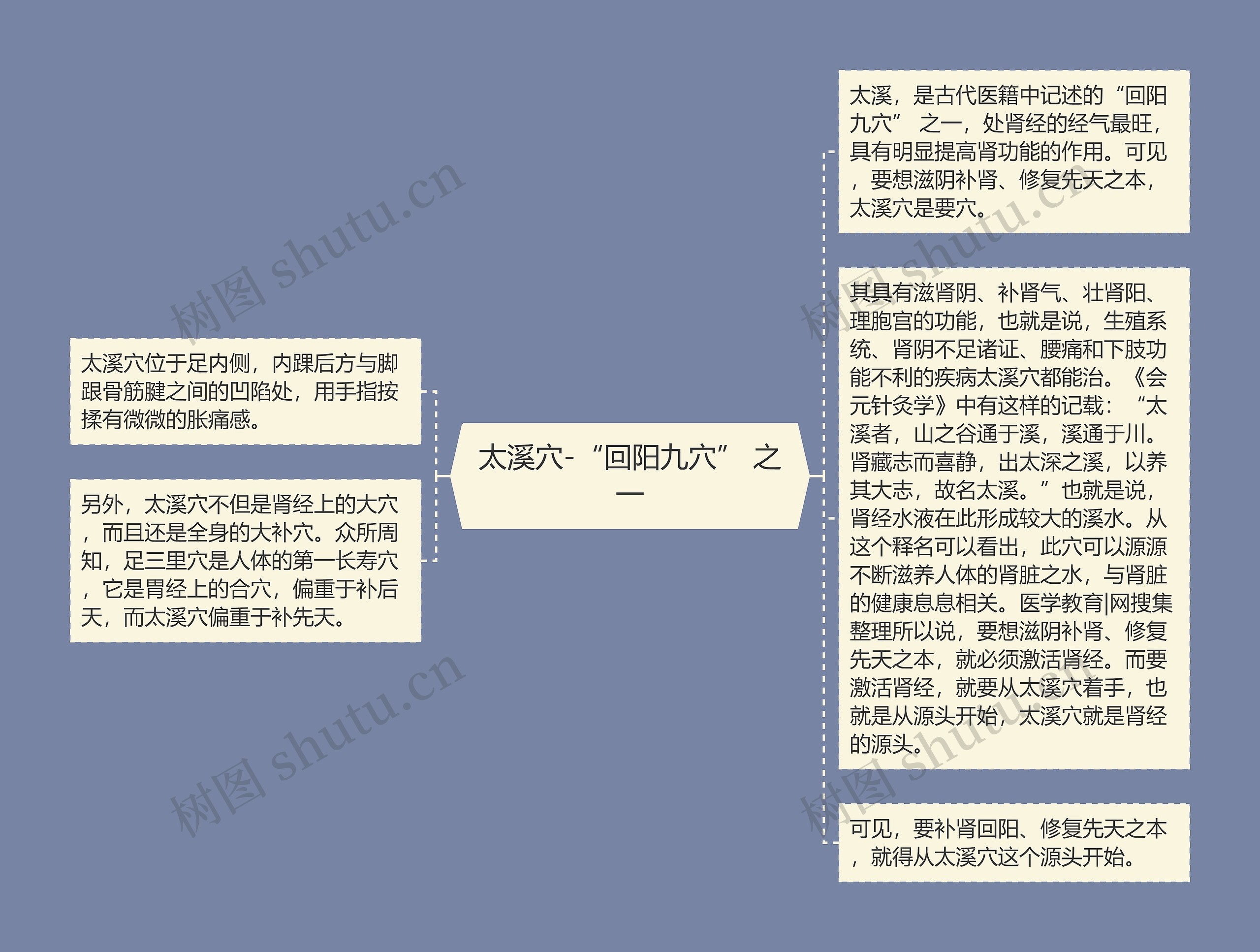 太溪穴-“回阳九穴” 之一思维导图