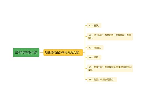 颊的结构小结