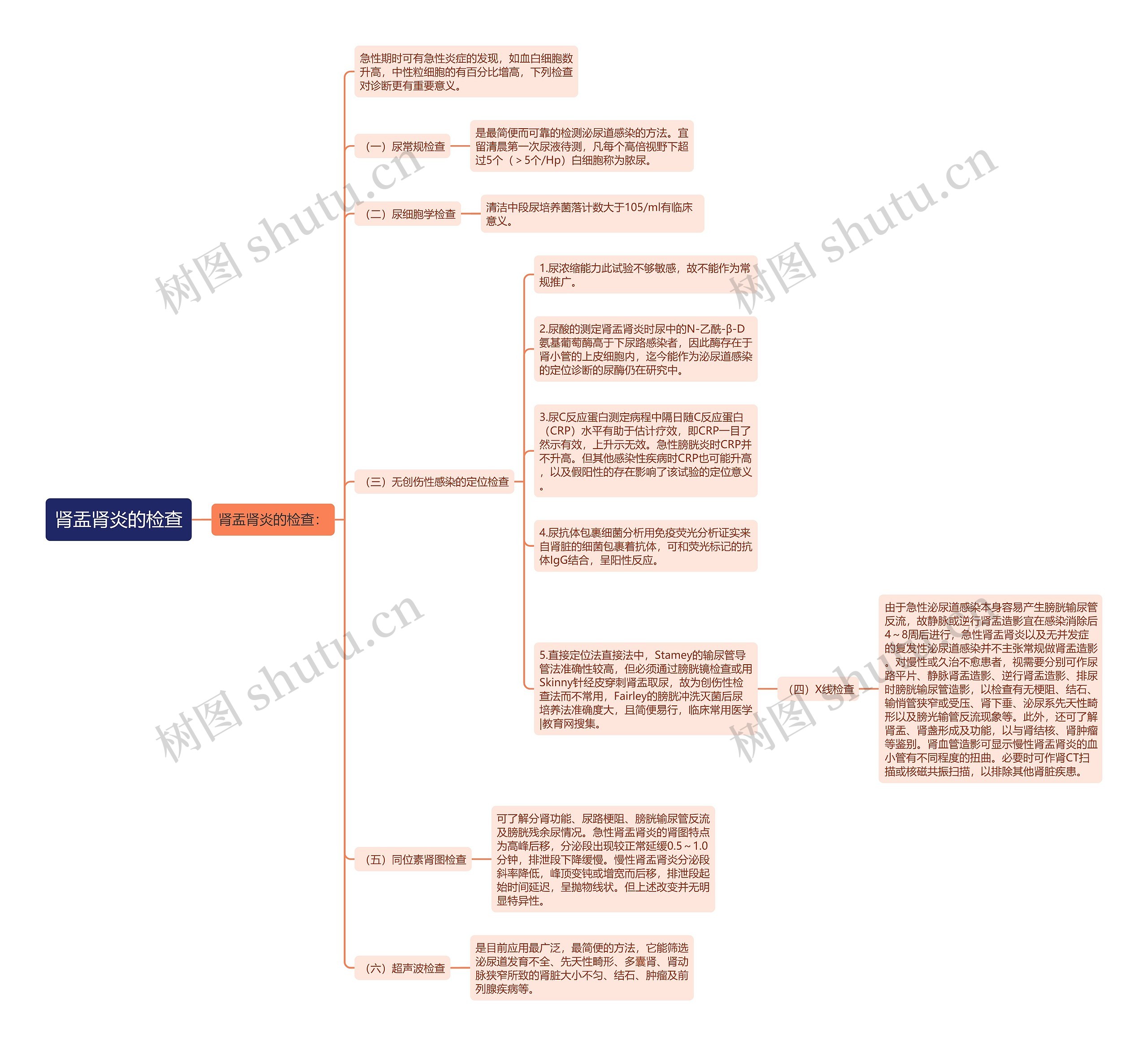 肾盂肾炎的检查思维导图高清图 肾盂肾炎的检查思维导图