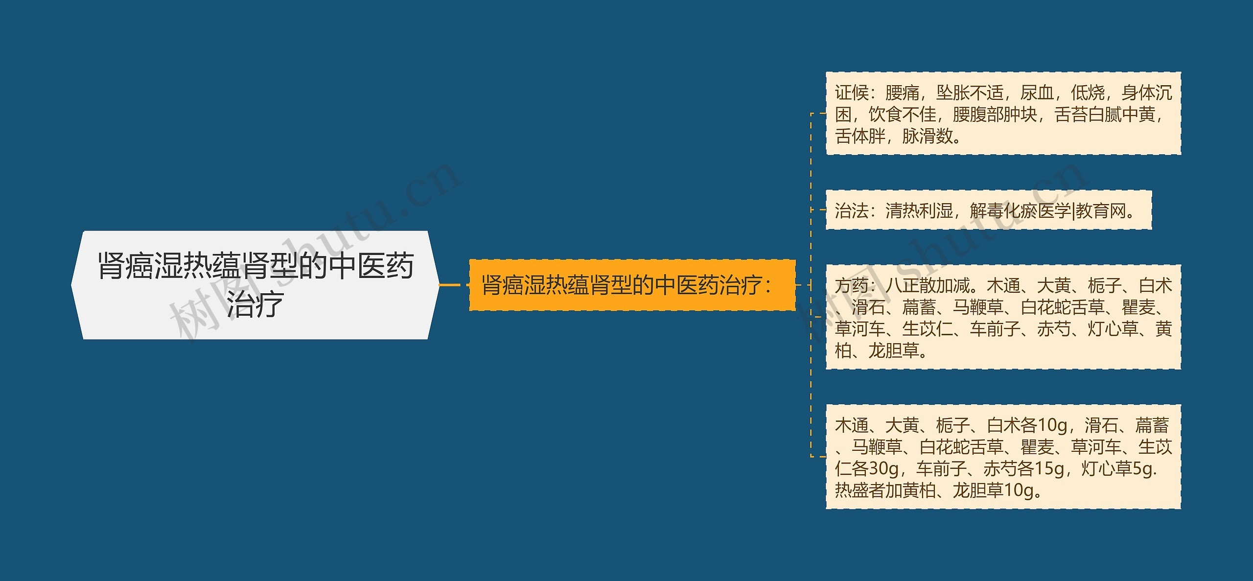肾癌湿热蕴肾型的中医药治疗 肾癌湿热蕴肾型的中医药治疗