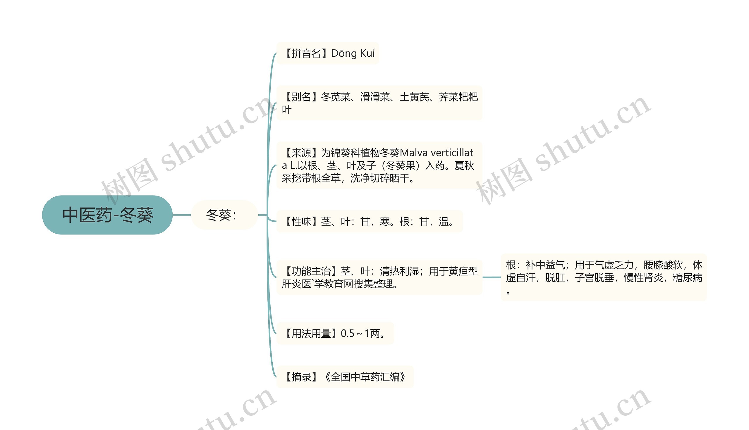 中医药-冬葵思维导图
