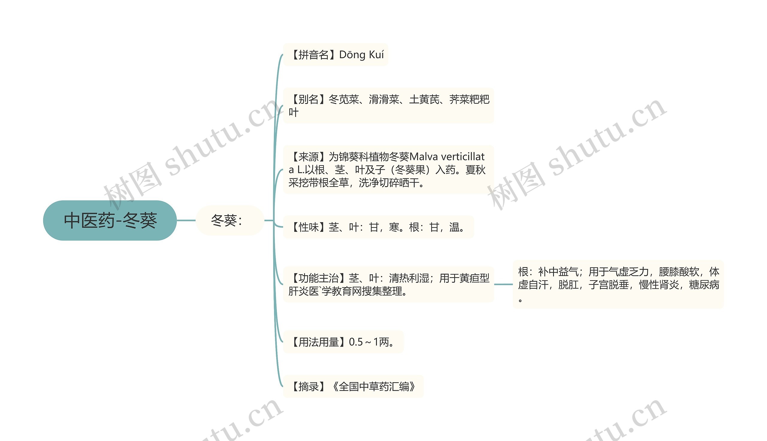 中医药-冬葵 中医药-冬葵