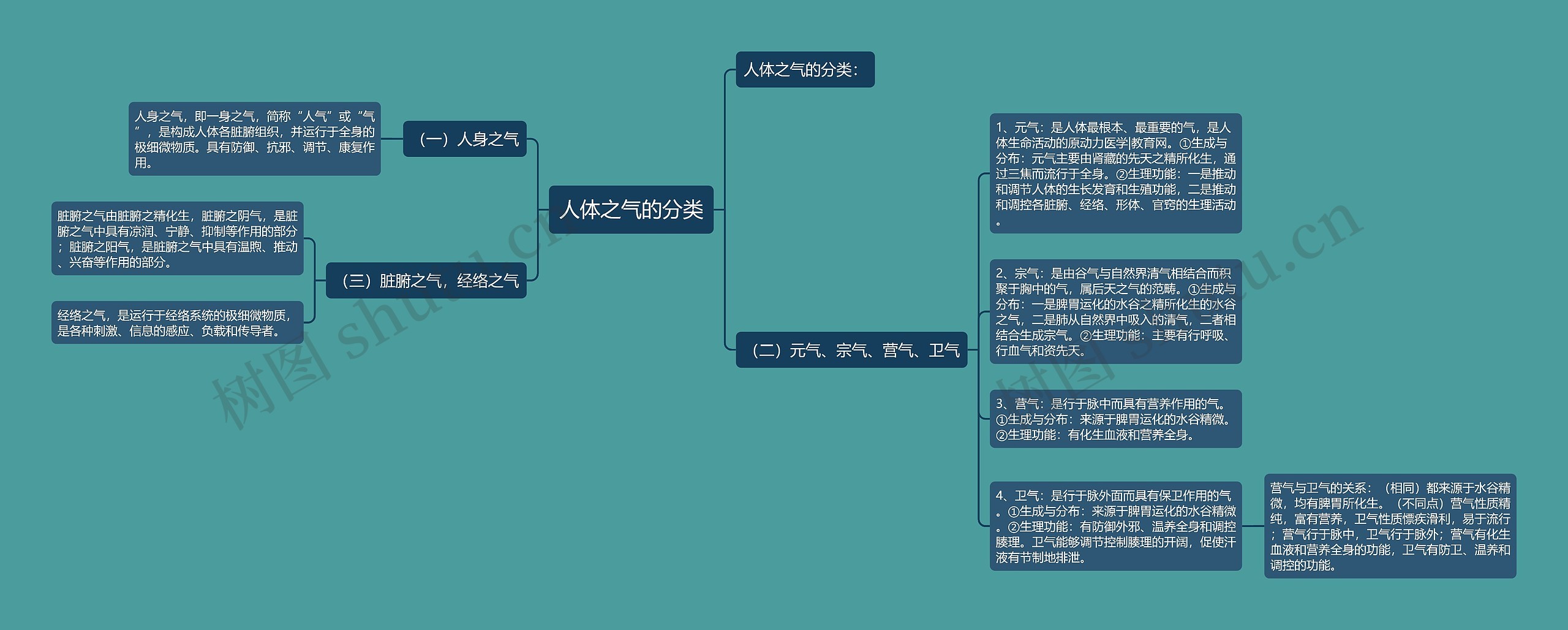 人体之气的分类