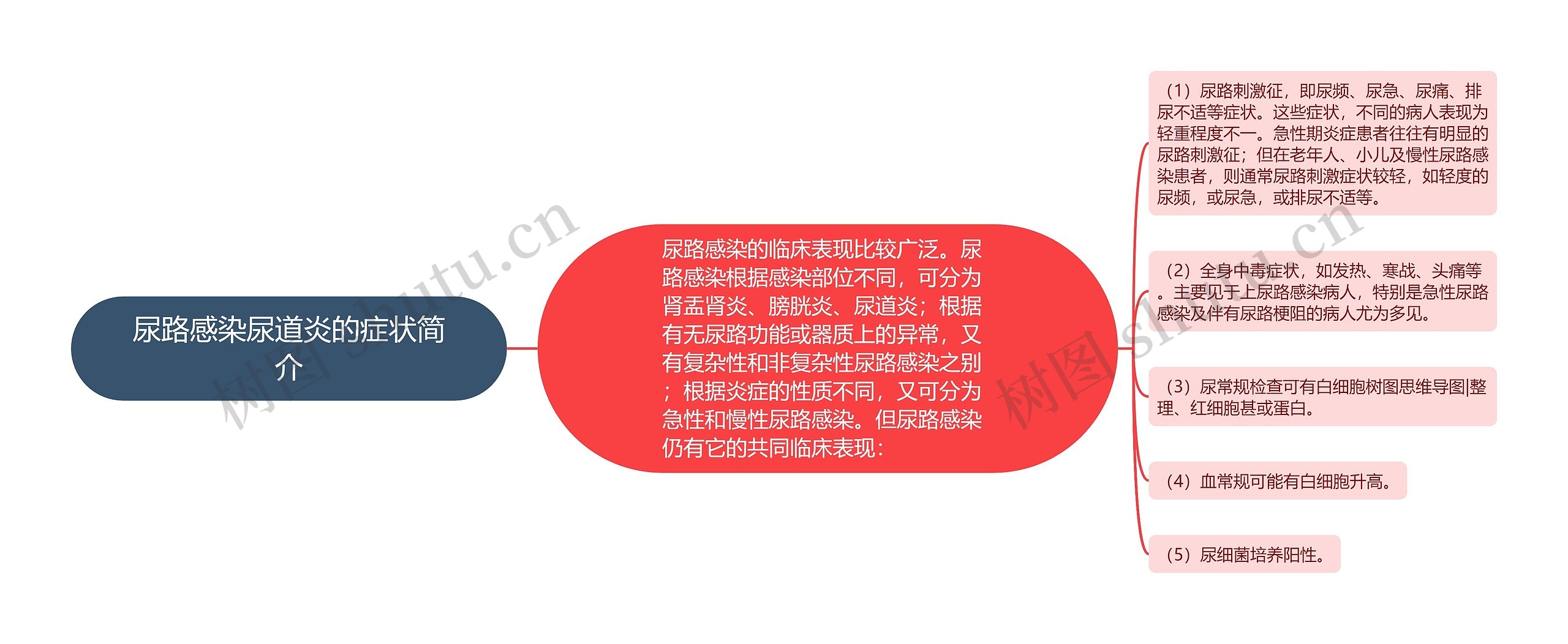 尿路感染尿道炎的症状简介