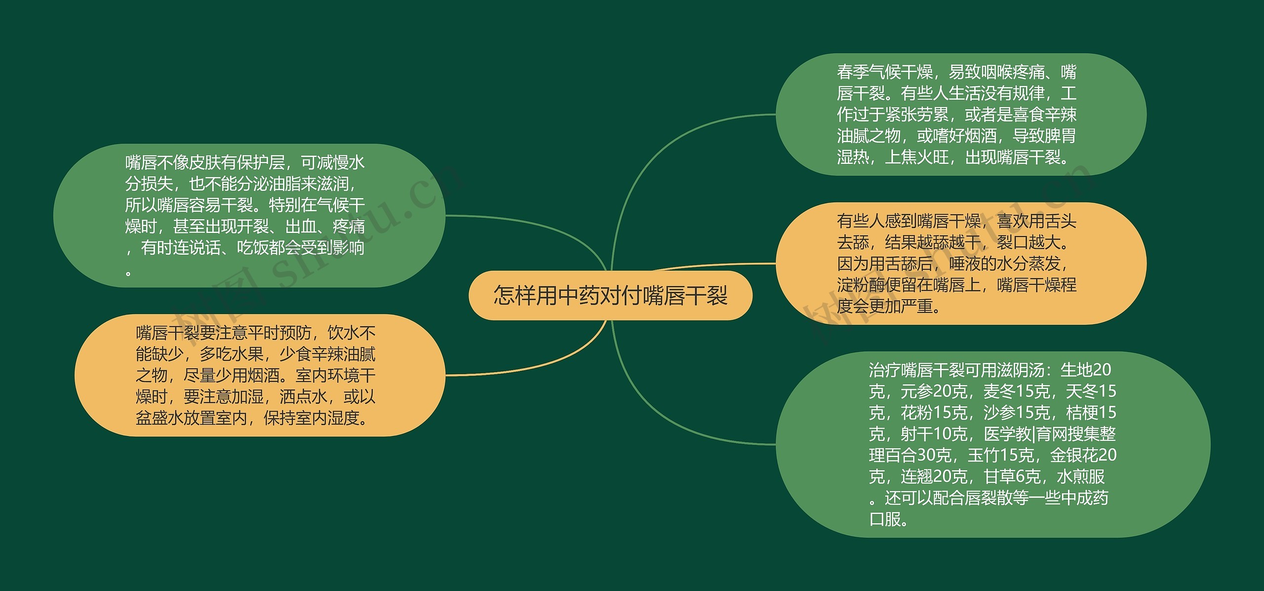 怎样用中药对付嘴唇干裂思维导图