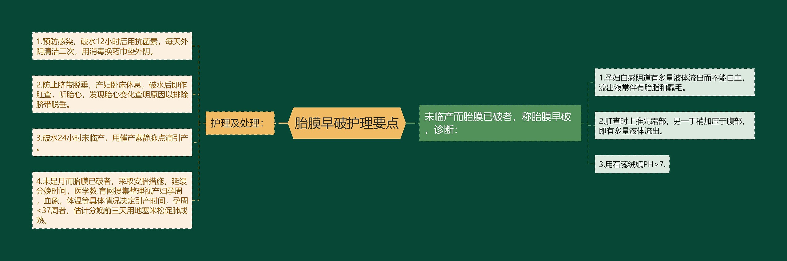 胎膜早破护理要点 胎膜早破护理要点