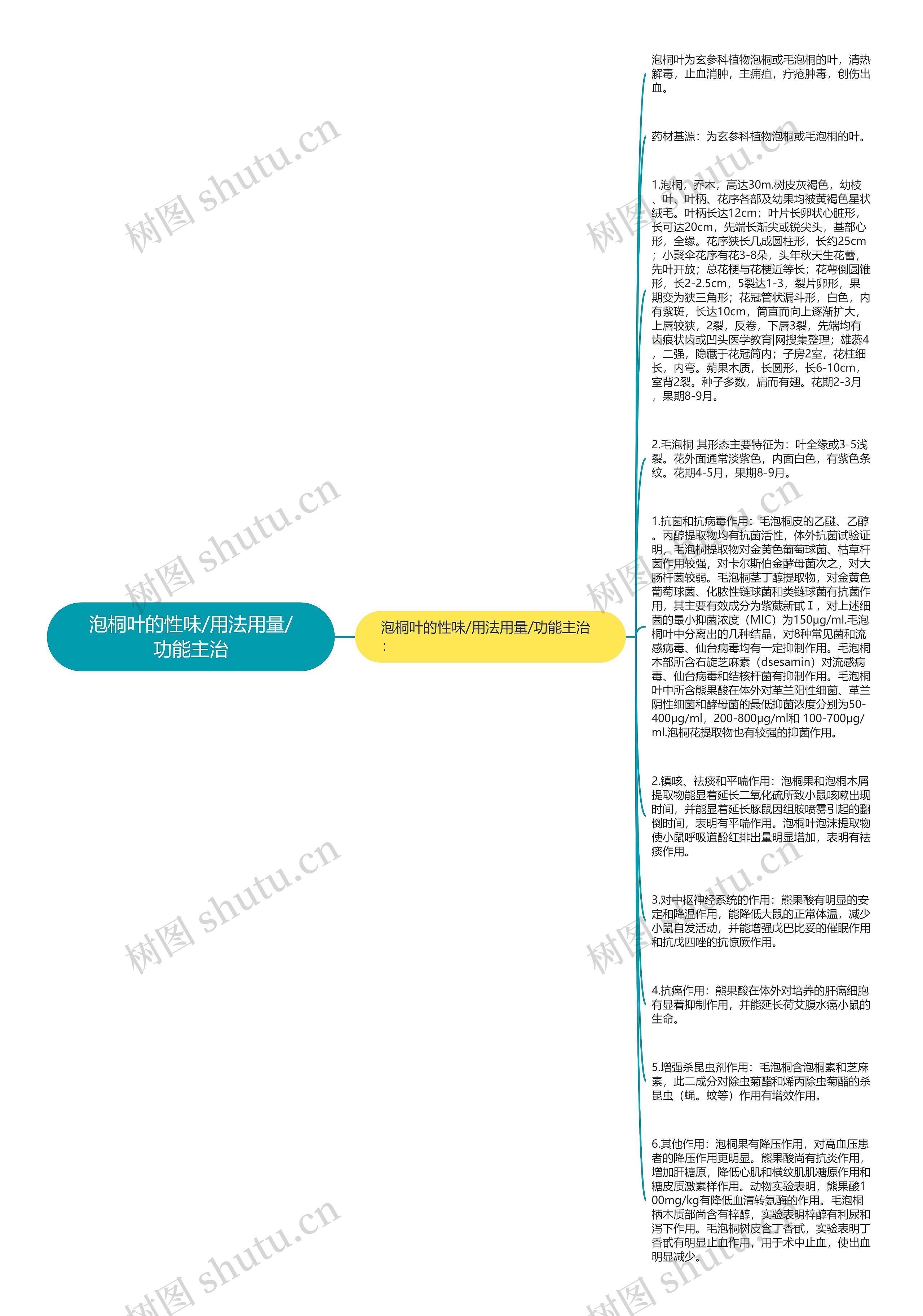 泡桐叶的性味/用法用量/功能主治