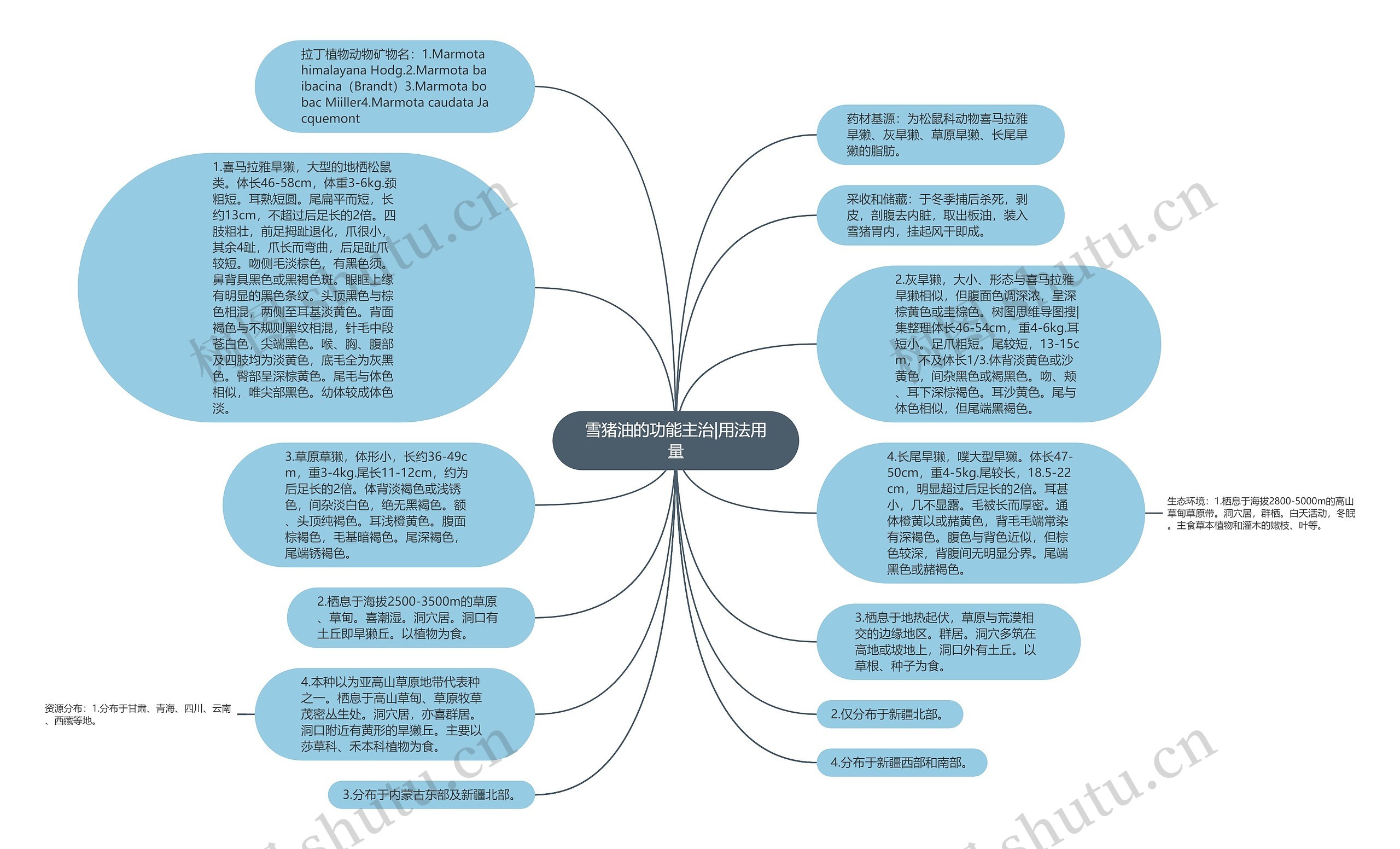雪猪油的功能主治|用法用量思维导图