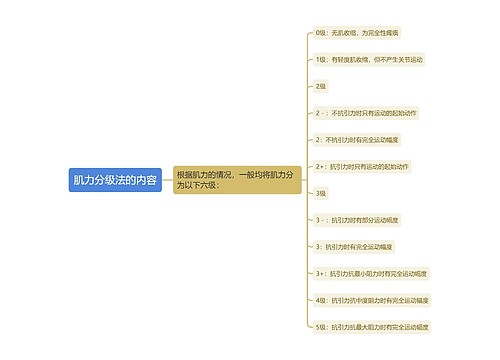 肌力分级法的内容