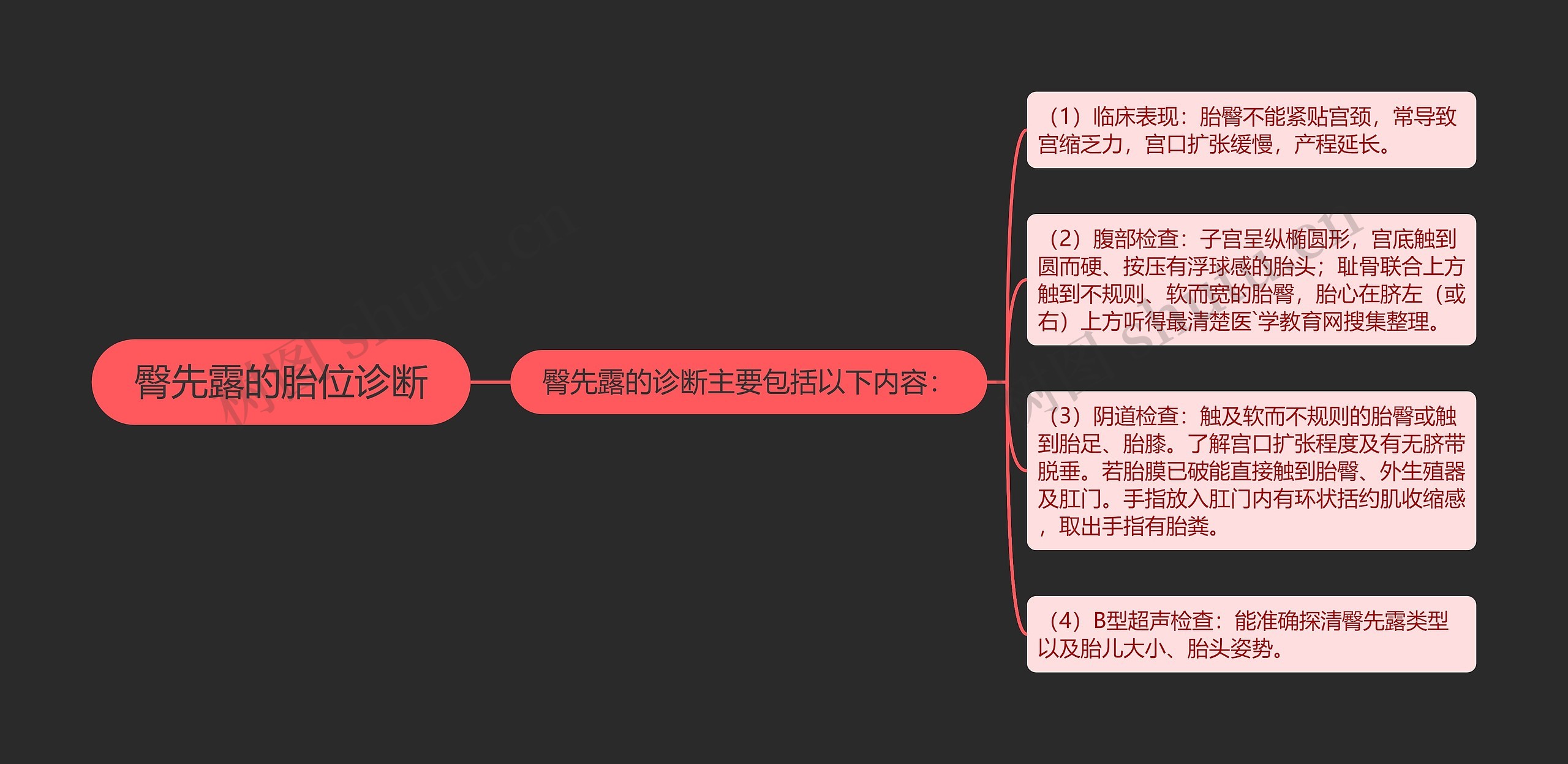 臀先露的胎位诊断