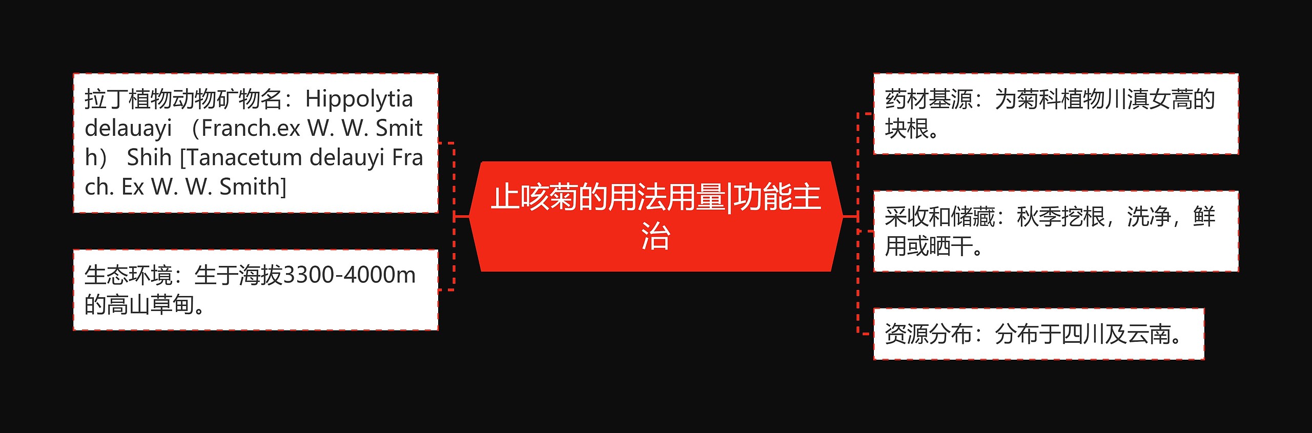止咳菊的用法用量|功能主治 止咳菊的用法用量|功能主治