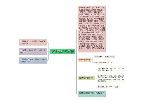 地草果的功能|用法用量