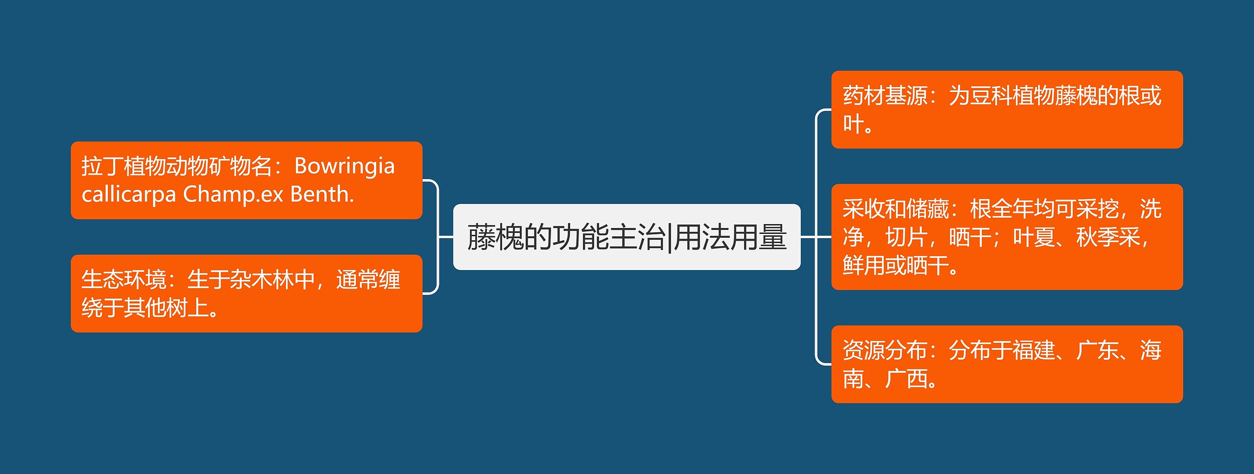 藤槐的功能主治|用法用量思维导图