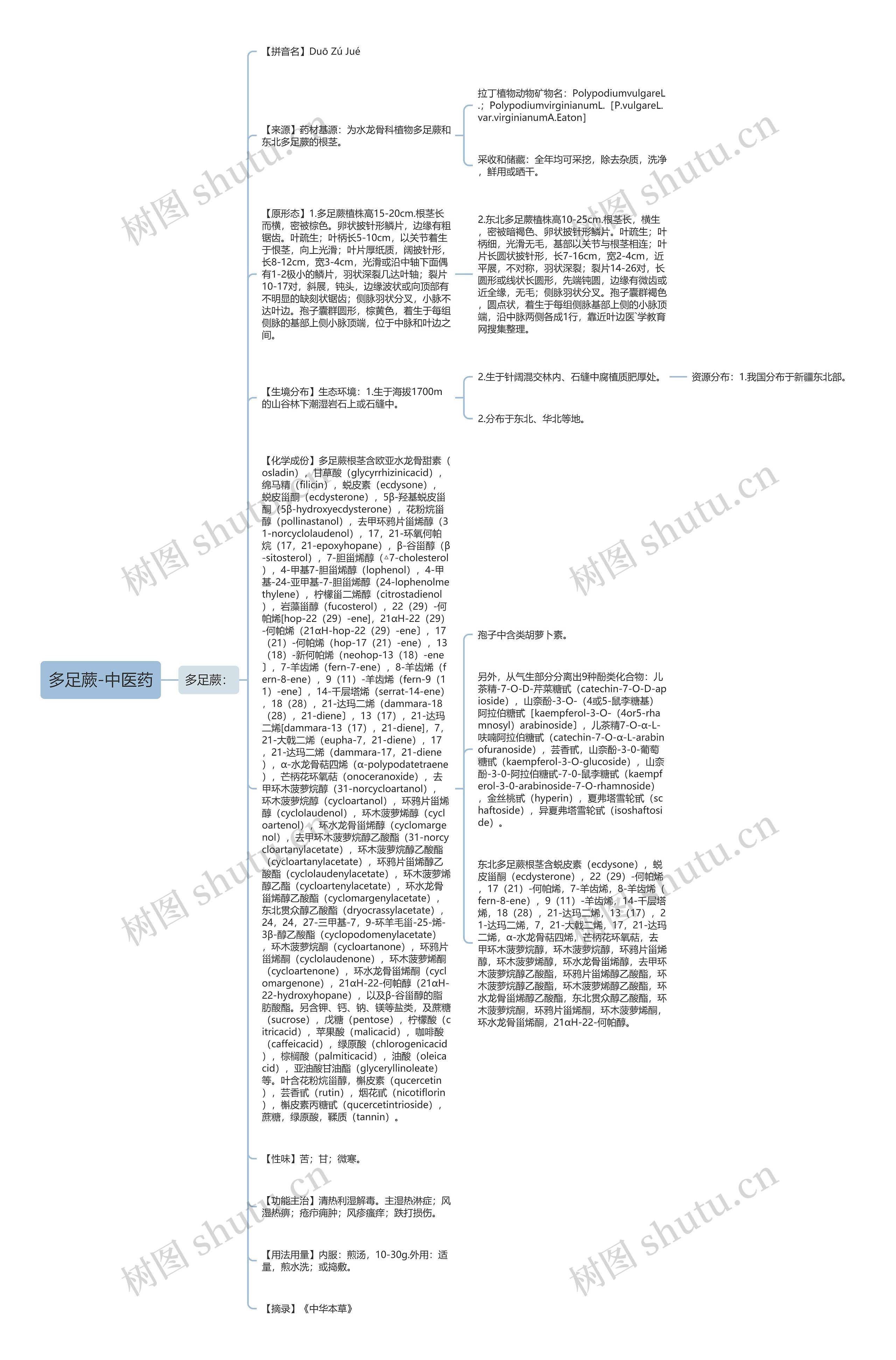 多足蕨-中医药思维导图