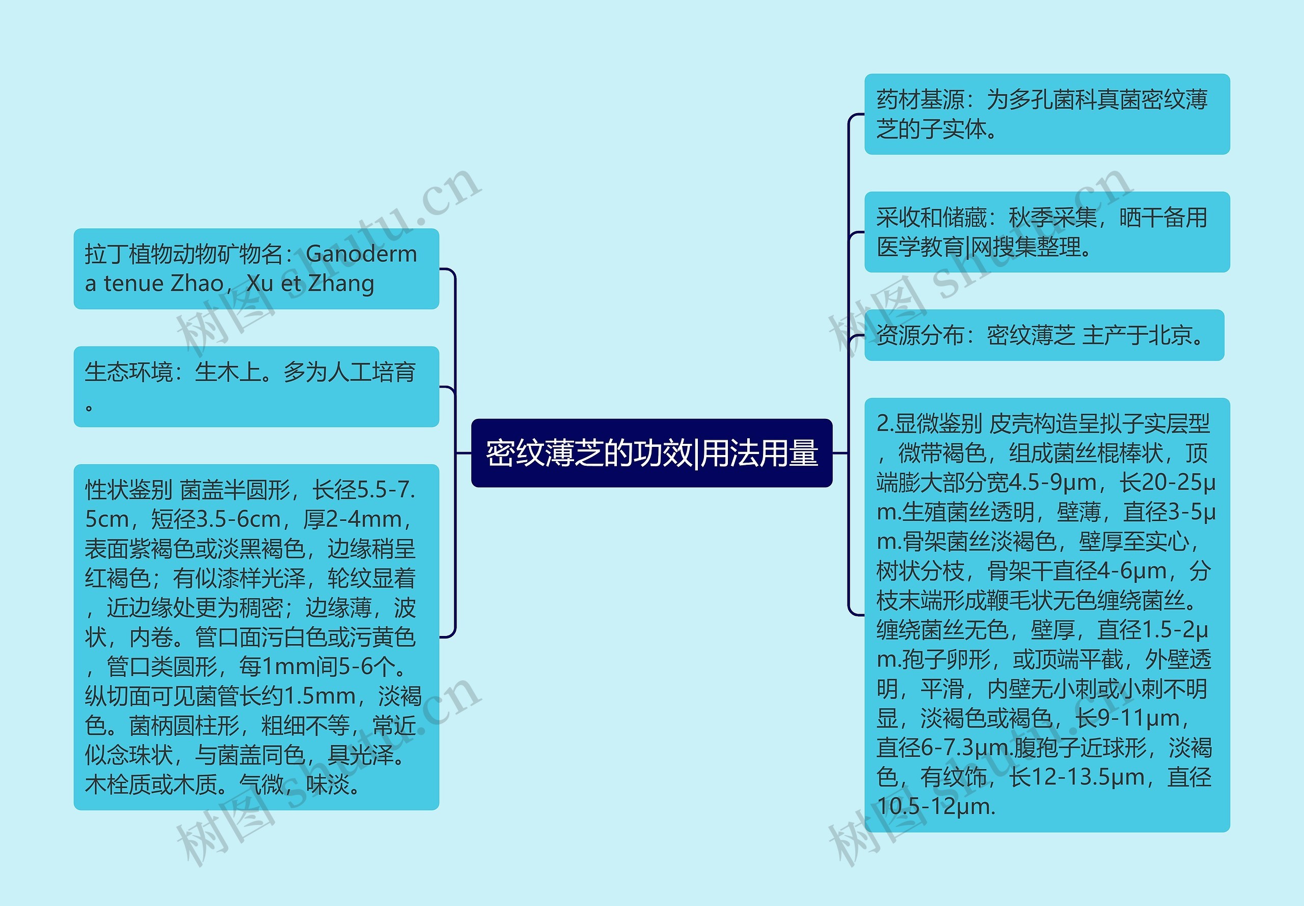 密纹薄芝的功效|用法用量思维导图