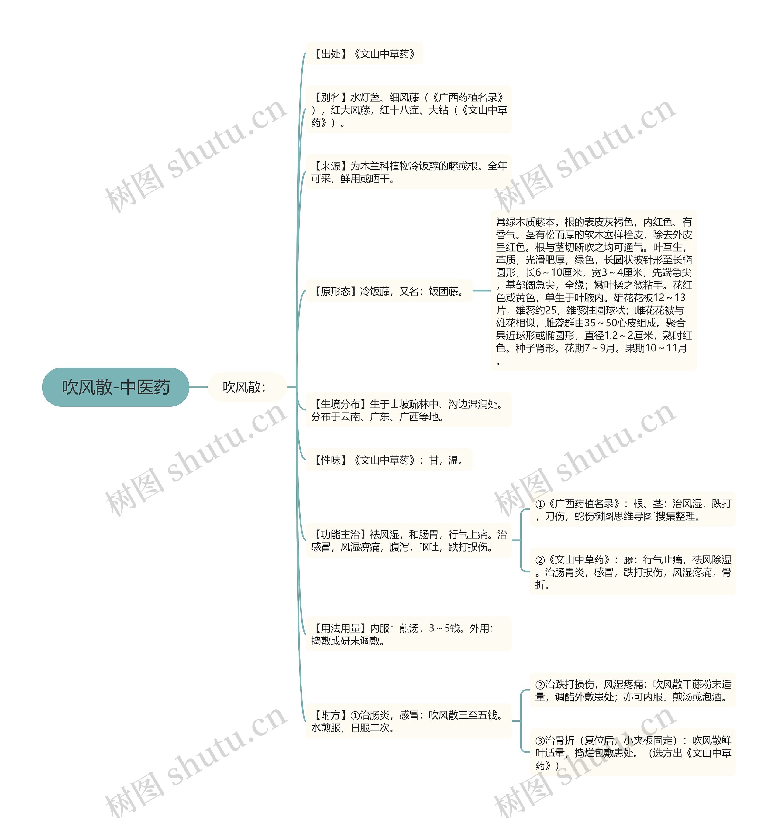 吹风散-中医药思维导图