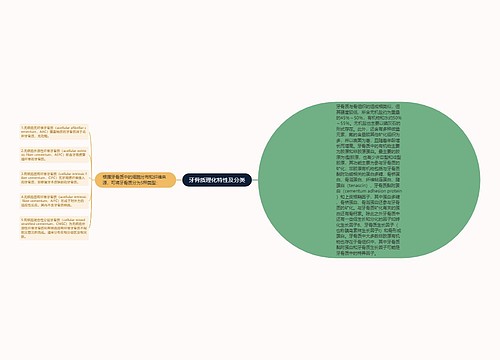 牙骨质理化特性及分类思维导图