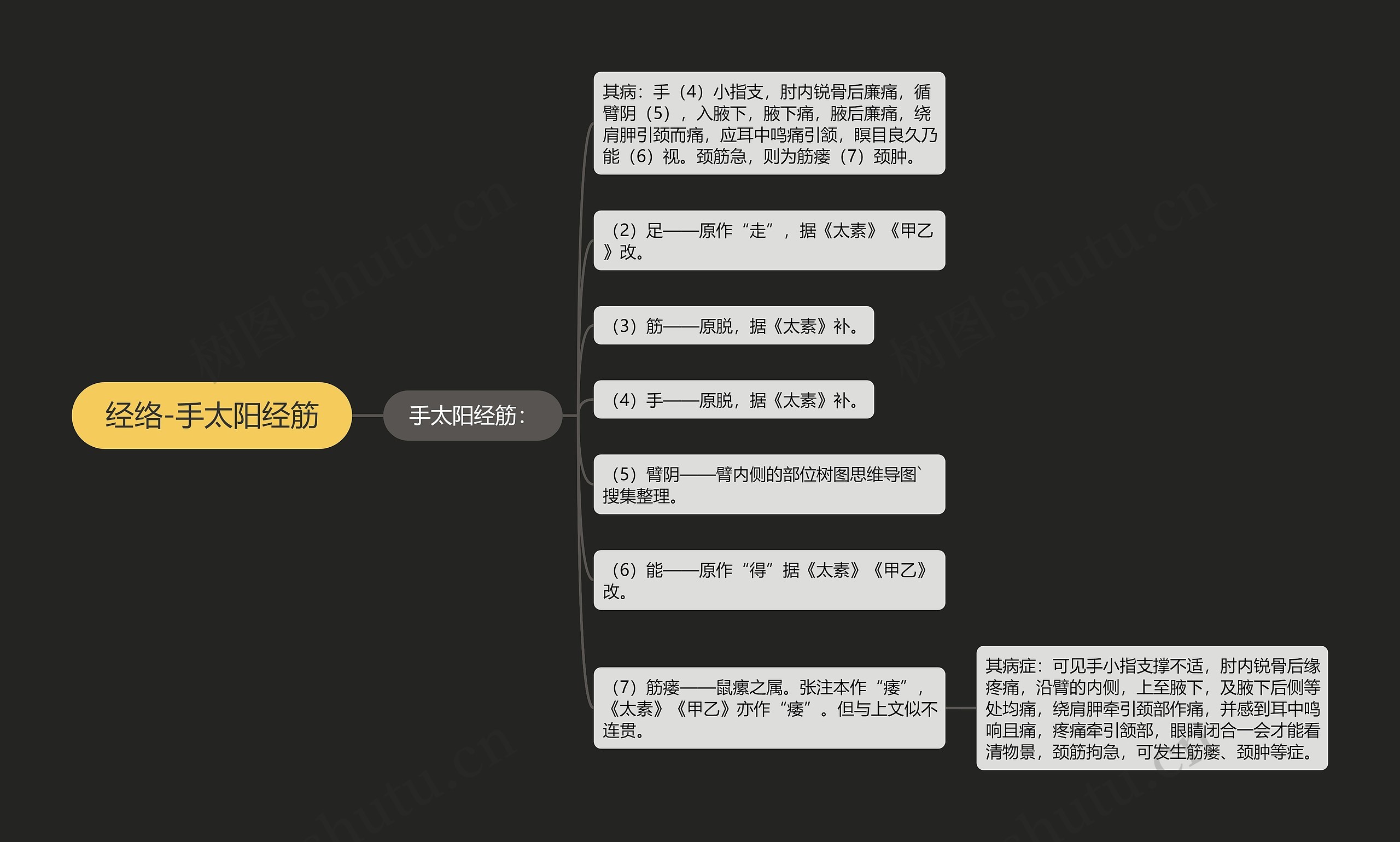 经络-手太阳经筋