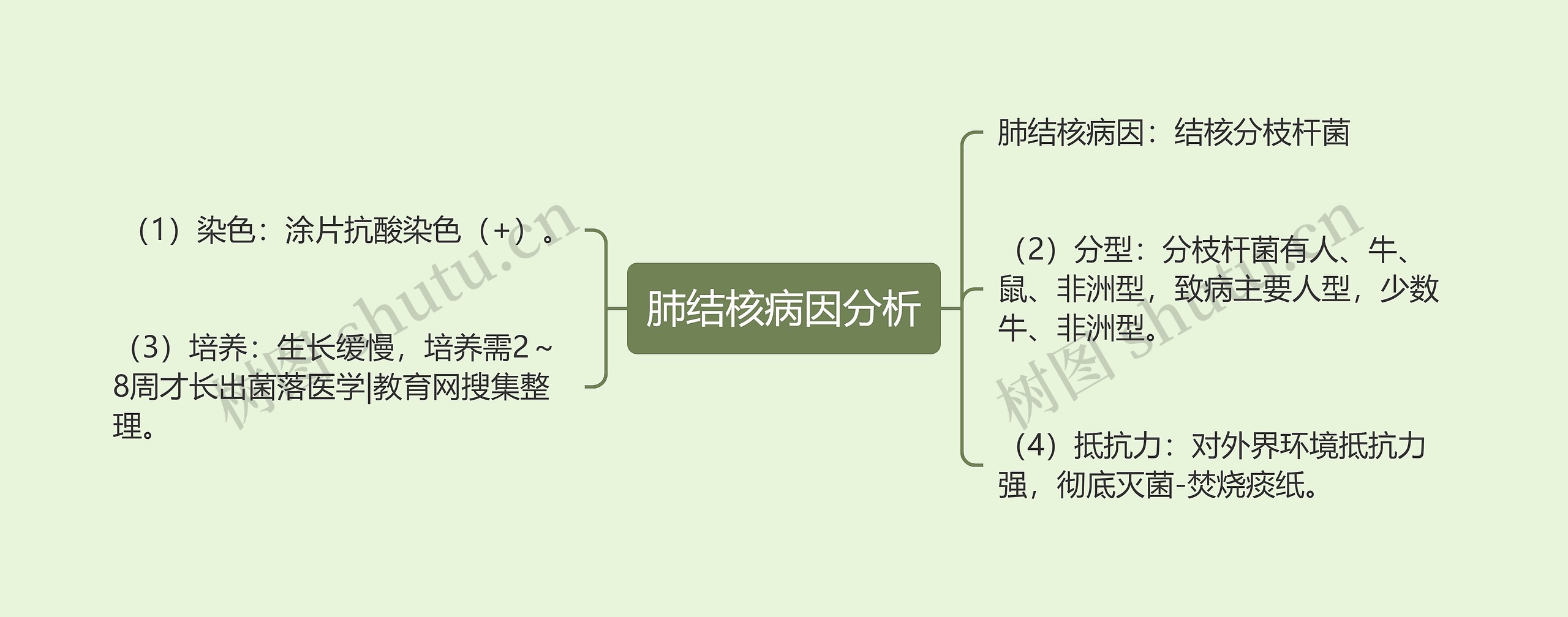 肺结核病因分析