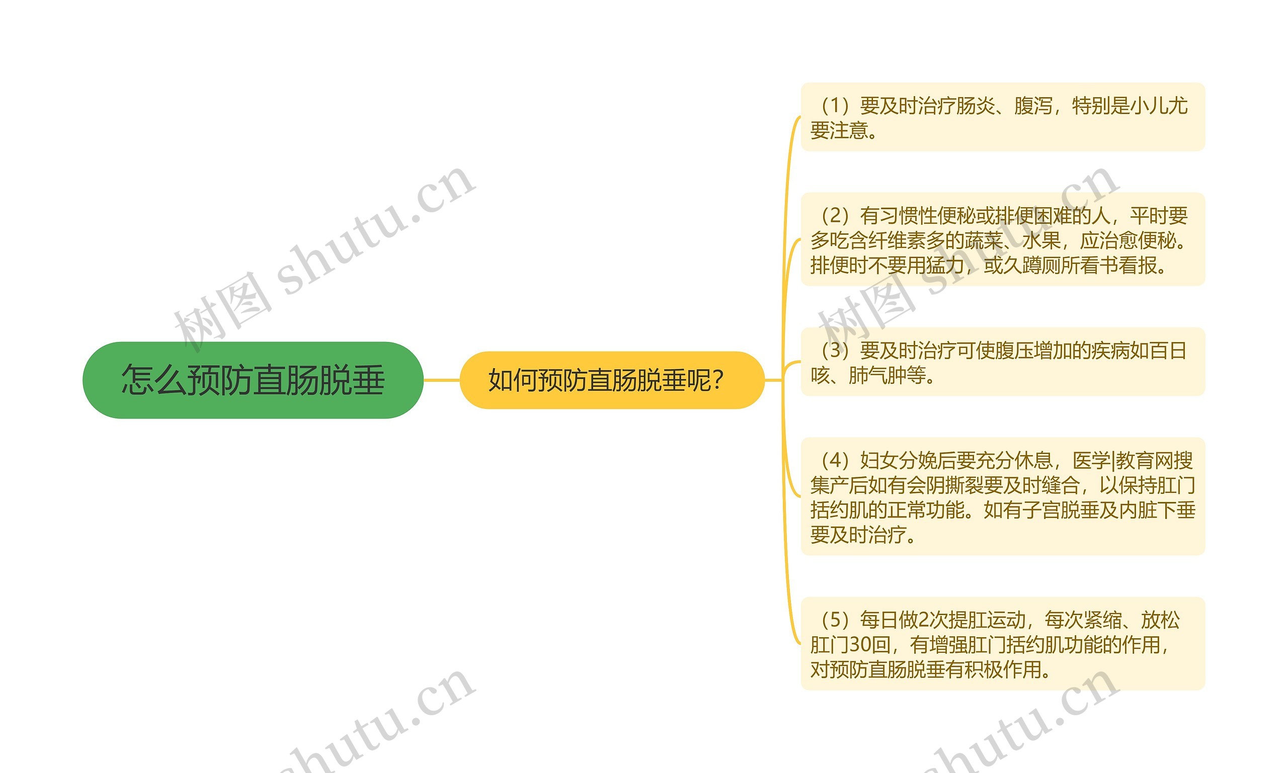 怎么预防直肠脱垂思维导图