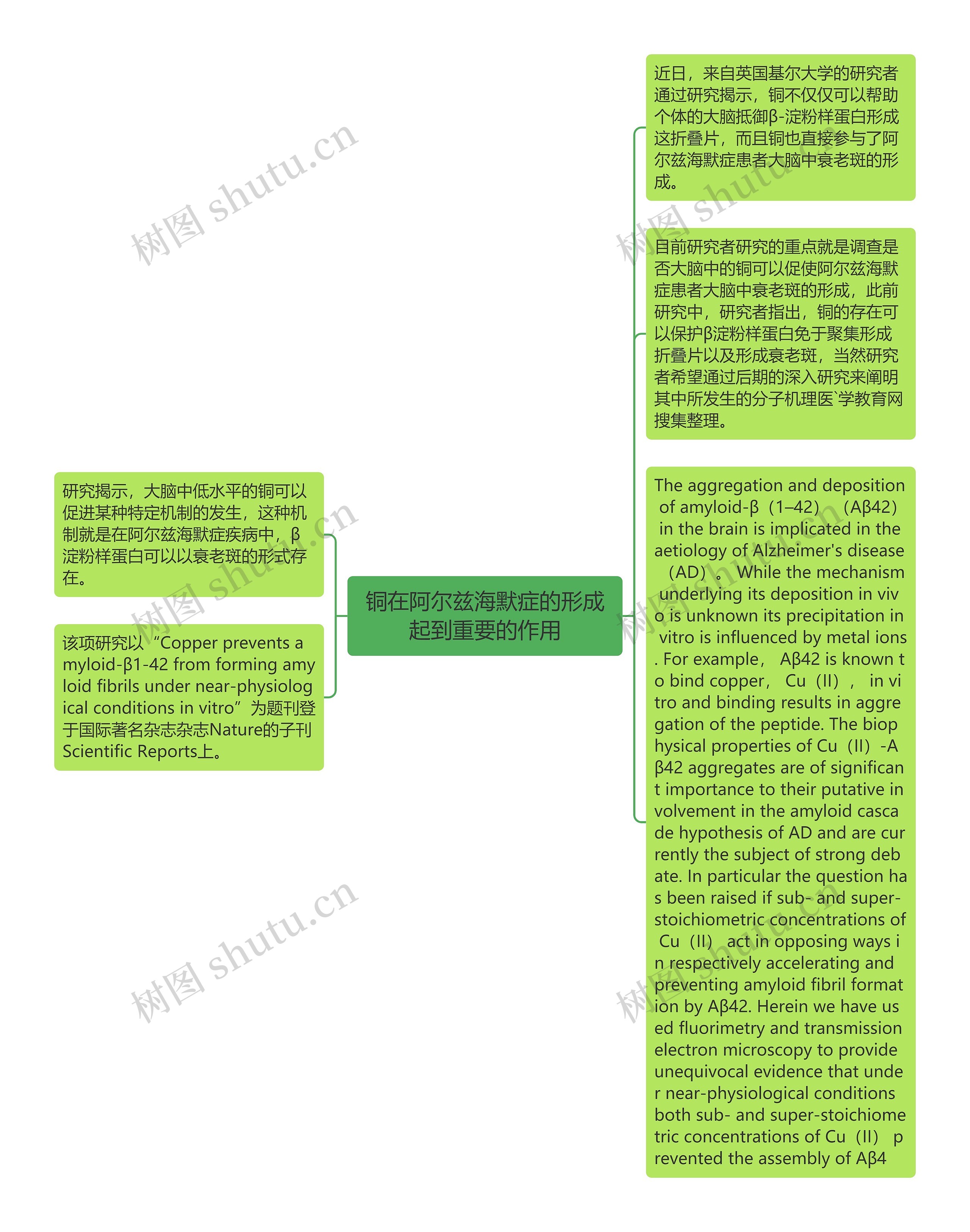 铜在阿尔兹海默症的形成起到重要的作用思维导图