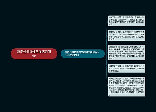 营养性缺铁性贫血病因简介