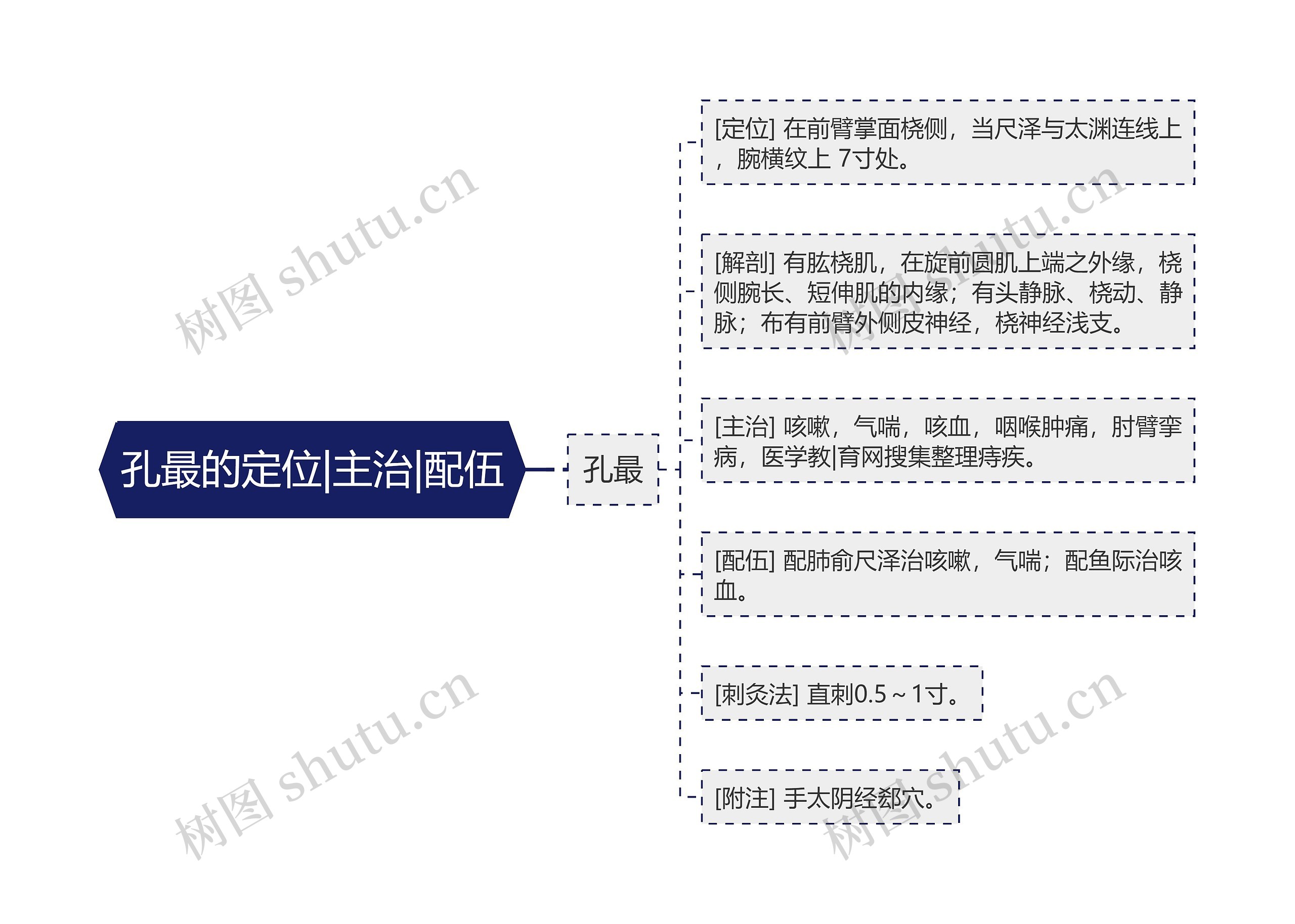 孔最的定位|主治|配伍 孔最的定位|主治|配伍