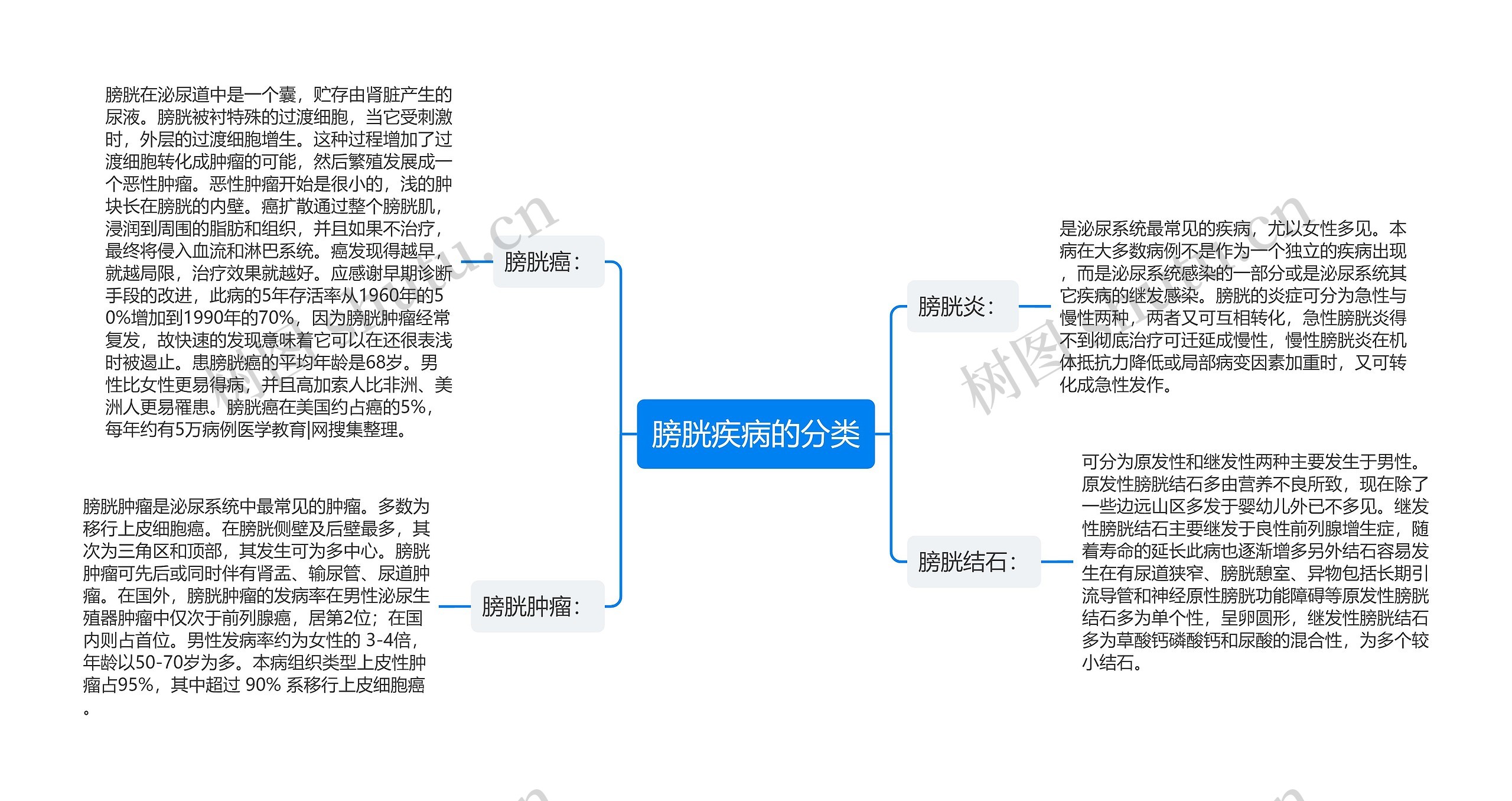 膀胱疾病的分类思维导图