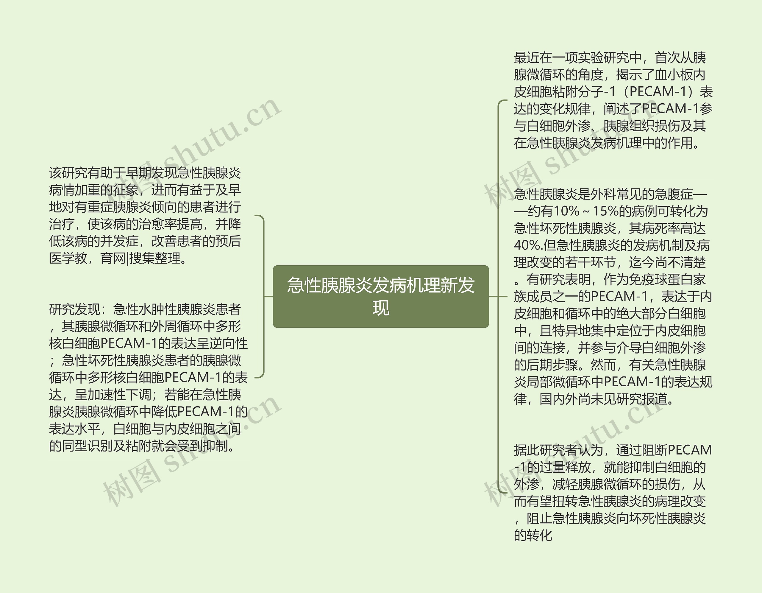 急性胰腺炎发病机理新发现思维导图