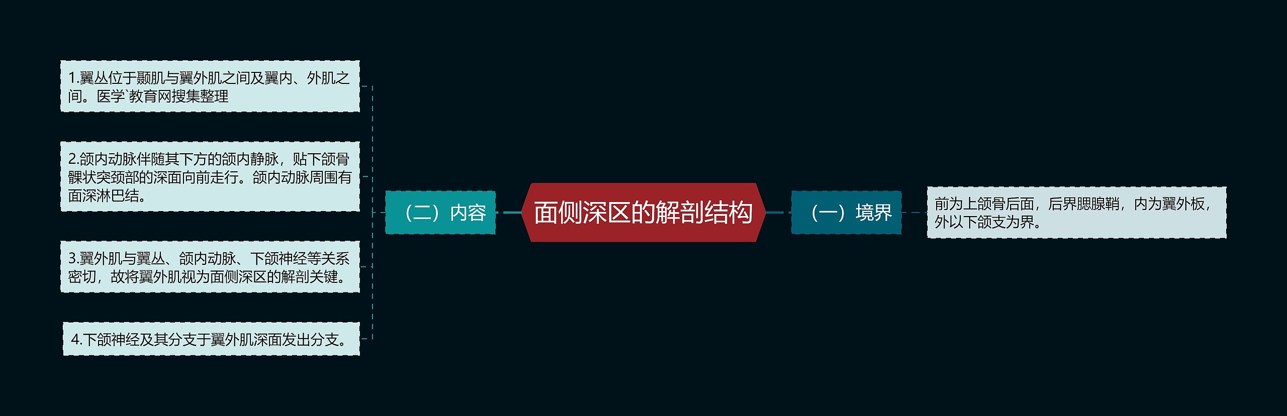 面侧深区的解剖结构思维导图