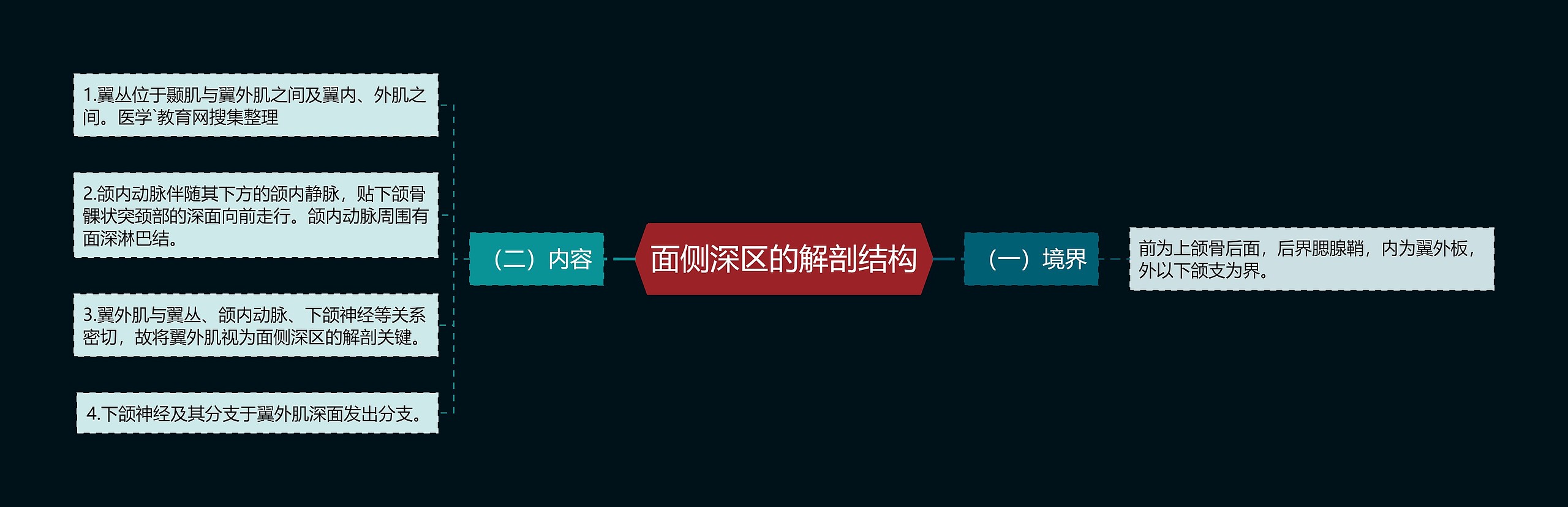 面侧深区的解剖结构 面侧深区的解剖结构