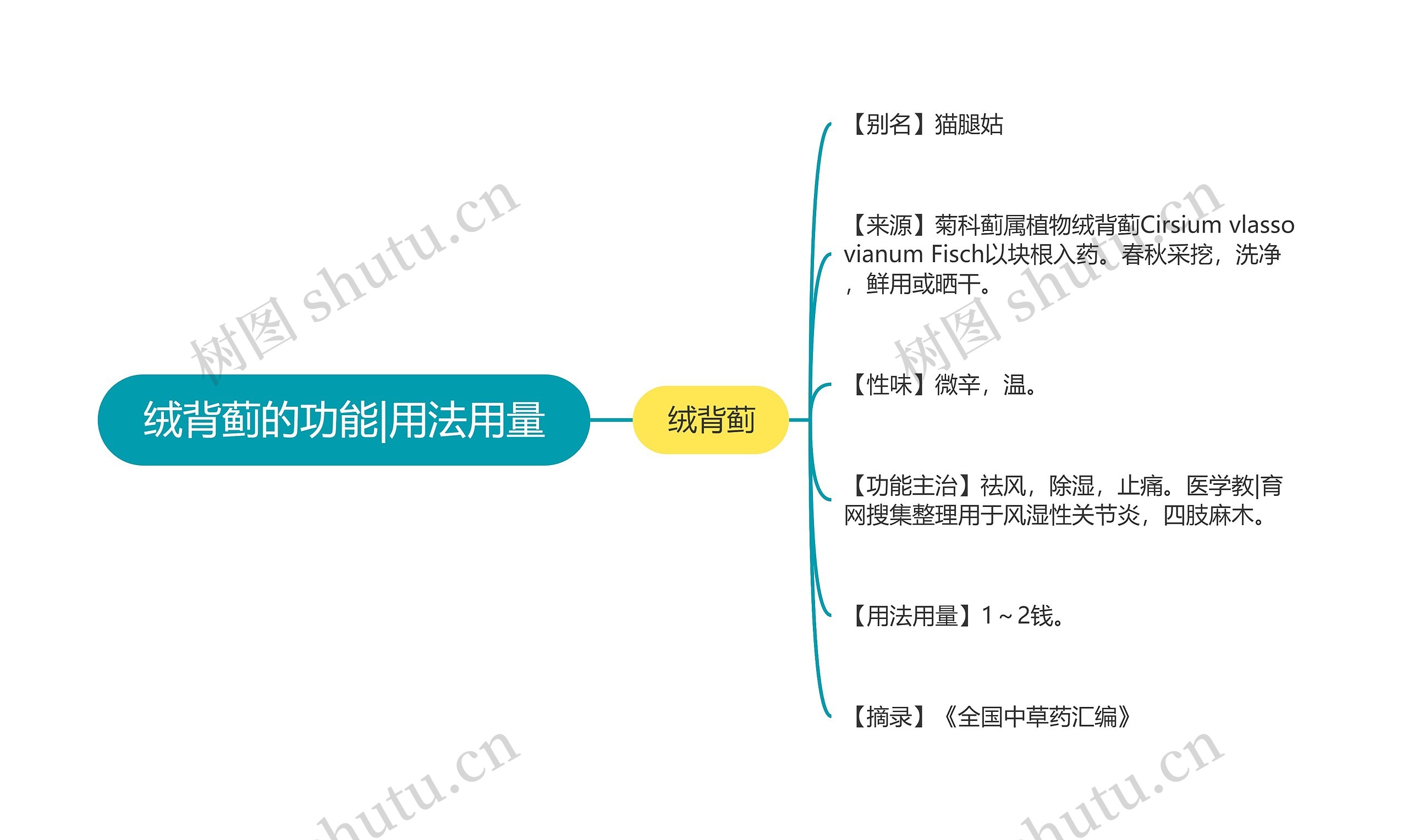 绒背蓟的功能|用法用量