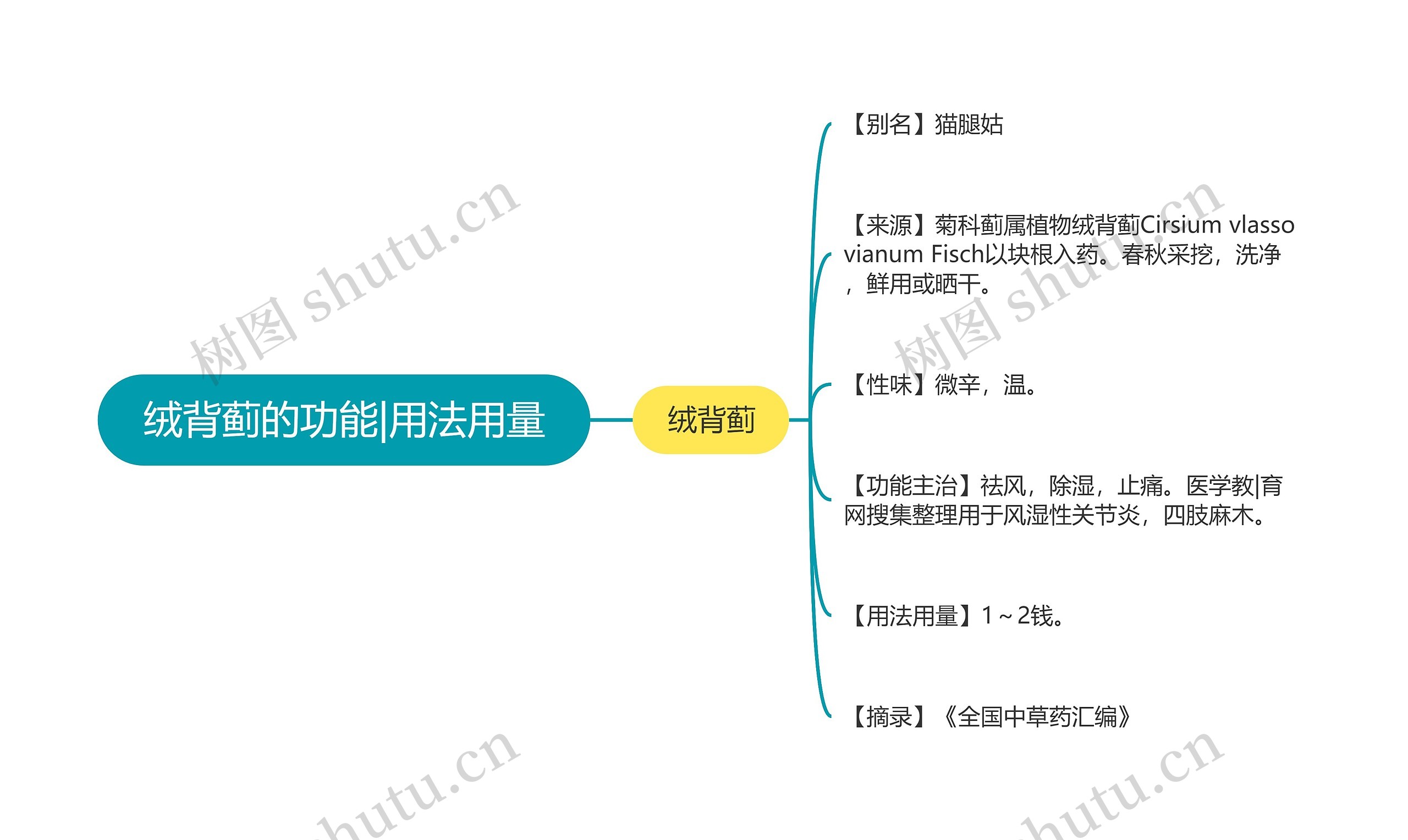 绒背蓟的功能|用法用量思维导图