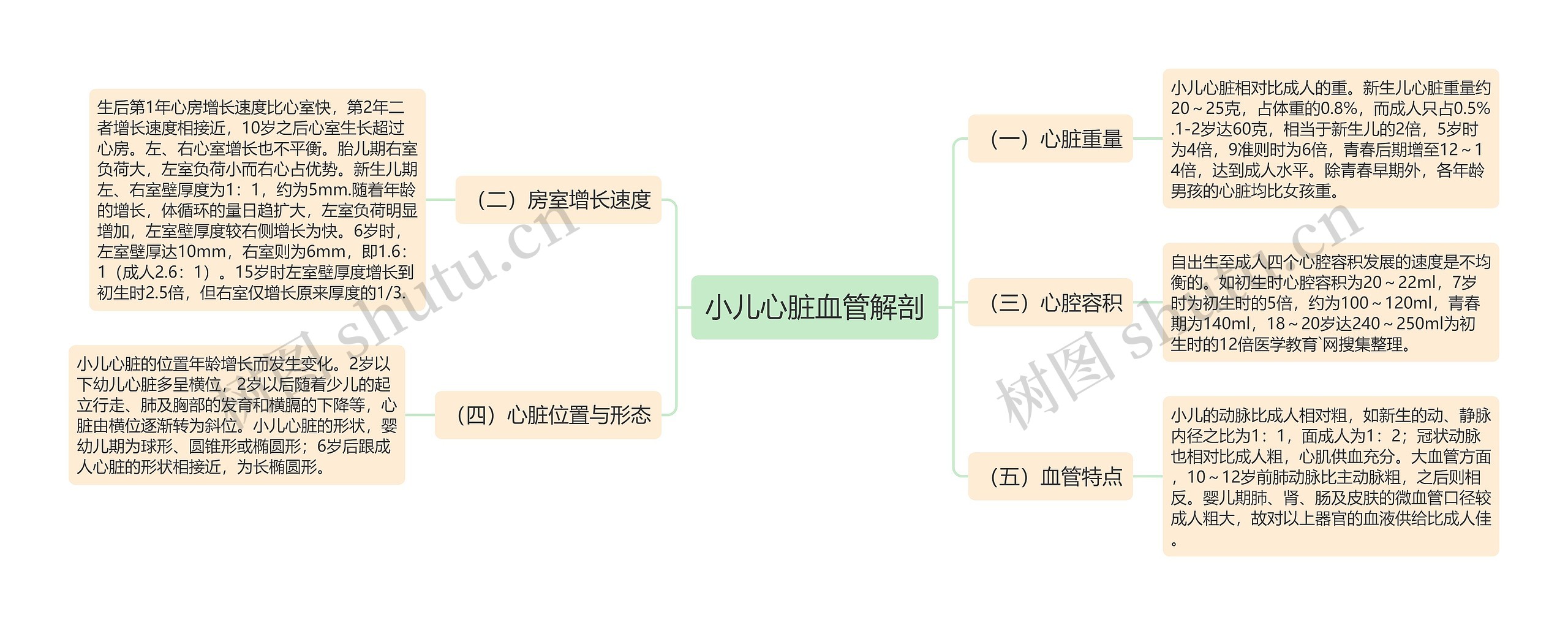 小儿心脏血管解剖思维导图