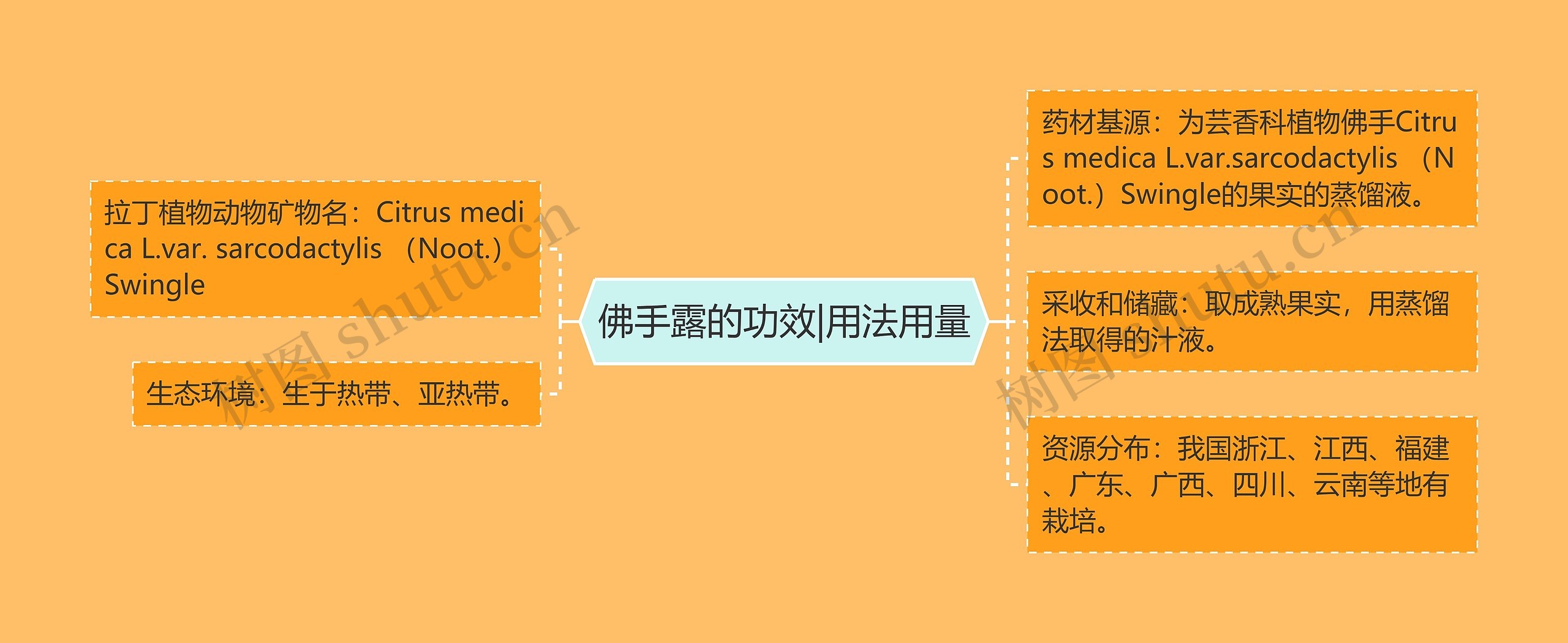 佛手露的功效|用法用量 佛手露的功效|用法用量