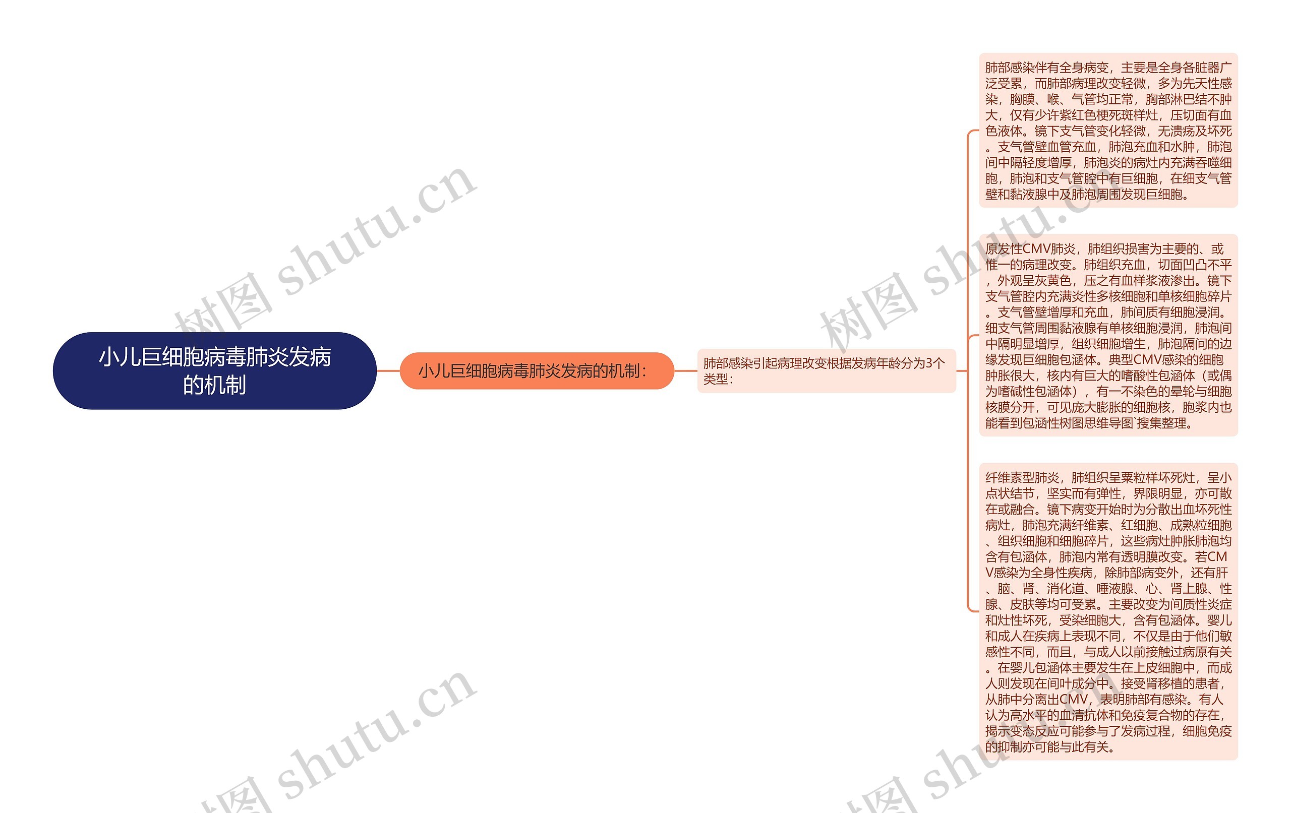 小儿巨细胞病毒肺炎发病的机制