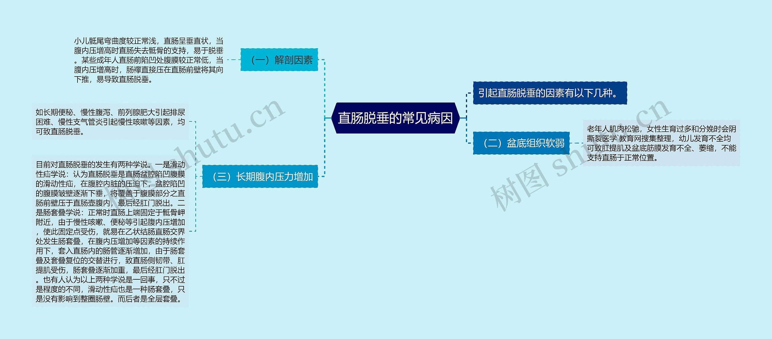 直肠脱垂的常见病因思维导图