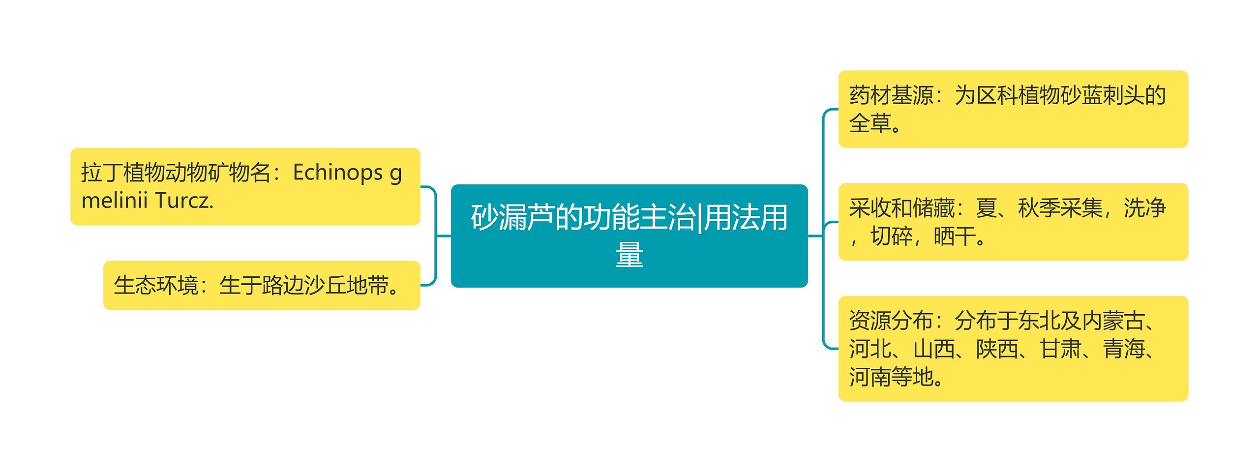 砂漏芦的功能主治|用法用量思维导图