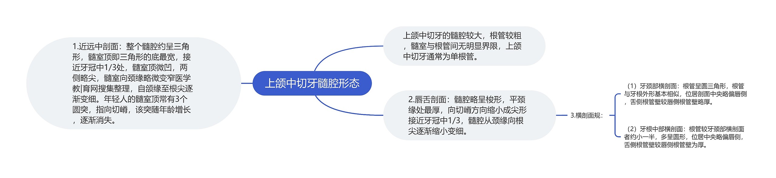 上颌中切牙髓腔形态思维导图