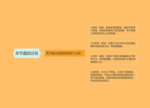 关节盘的分区