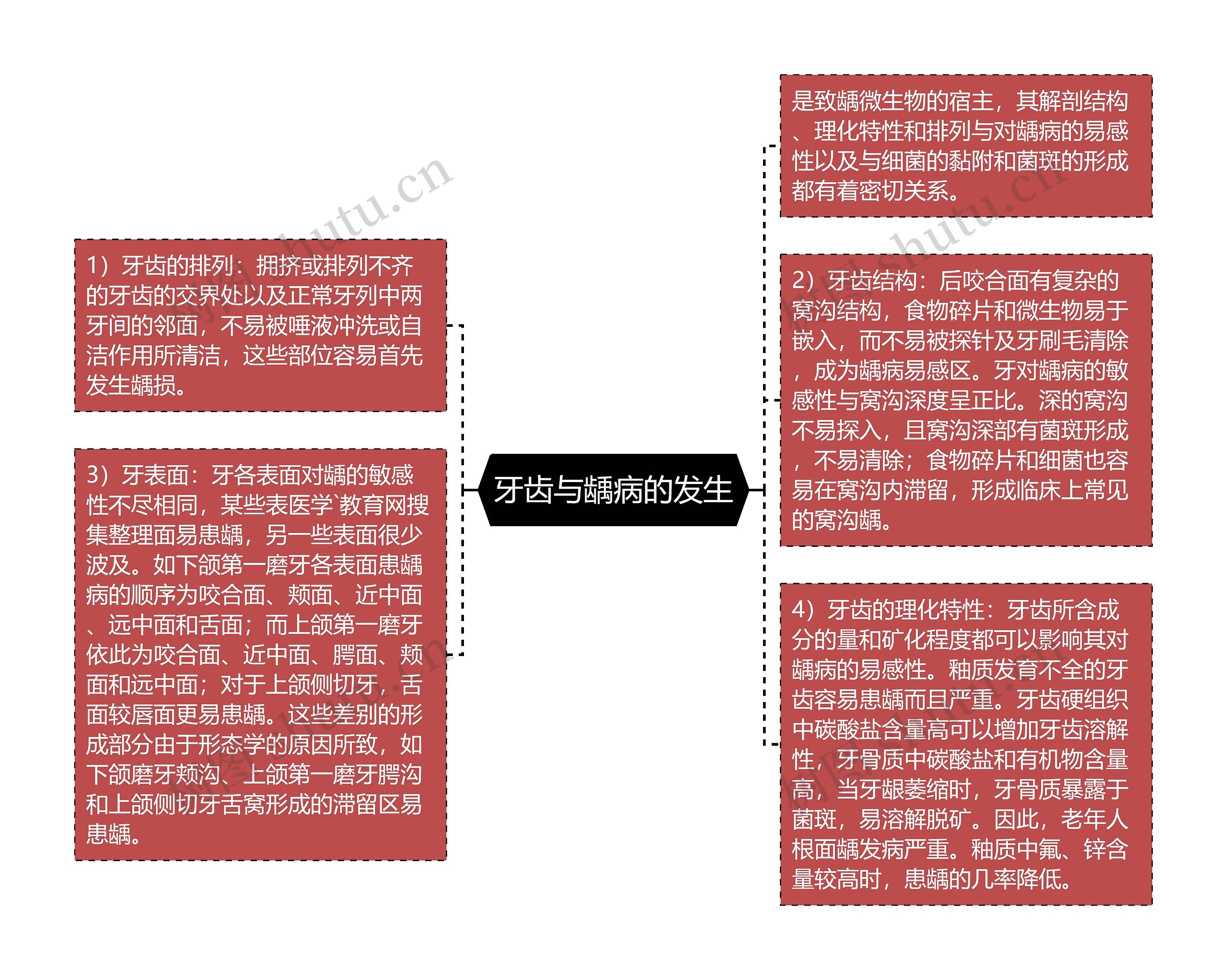 牙齿与龋病的发生