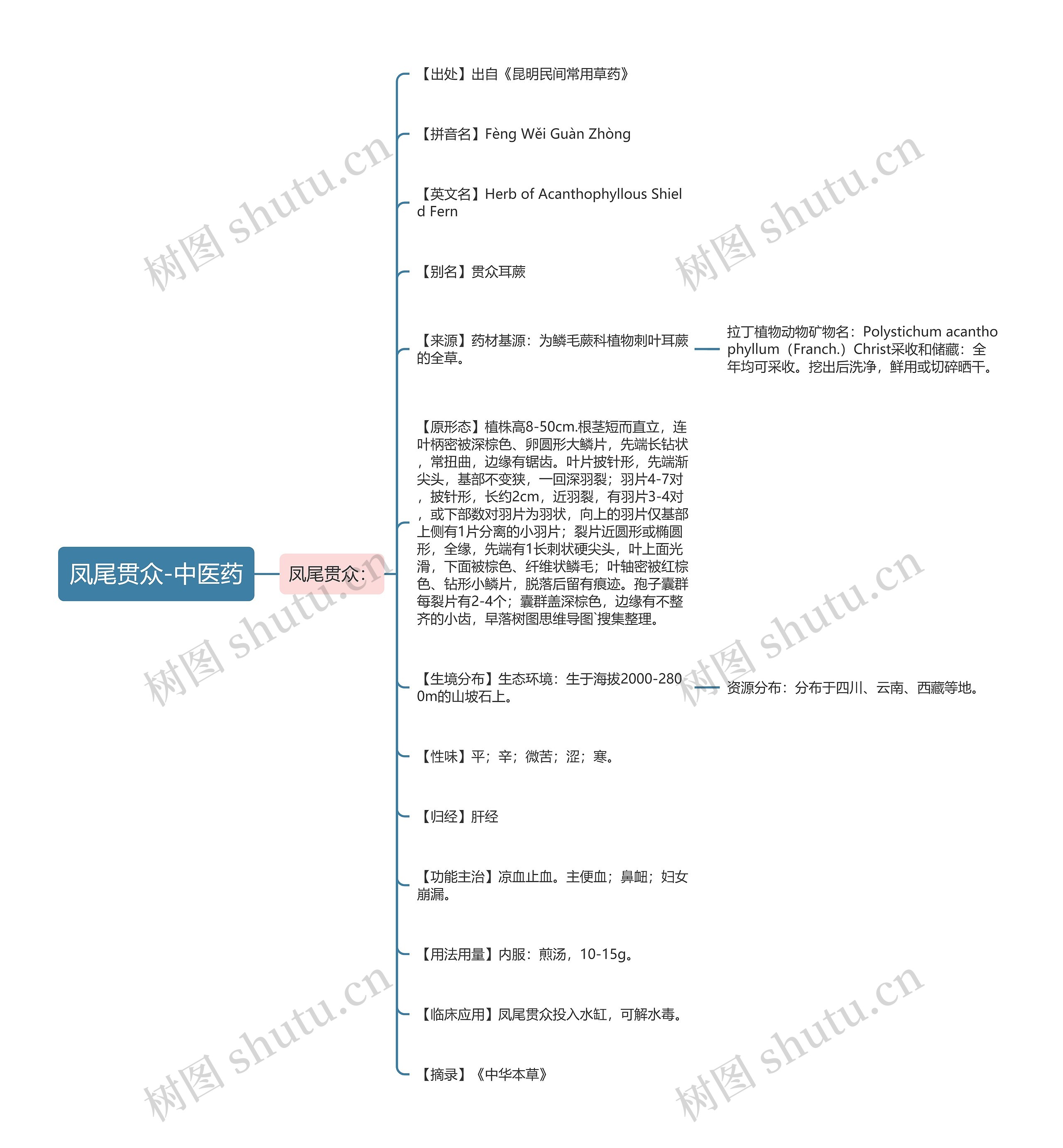 凤尾贯众-中医药 凤尾贯众-中医药