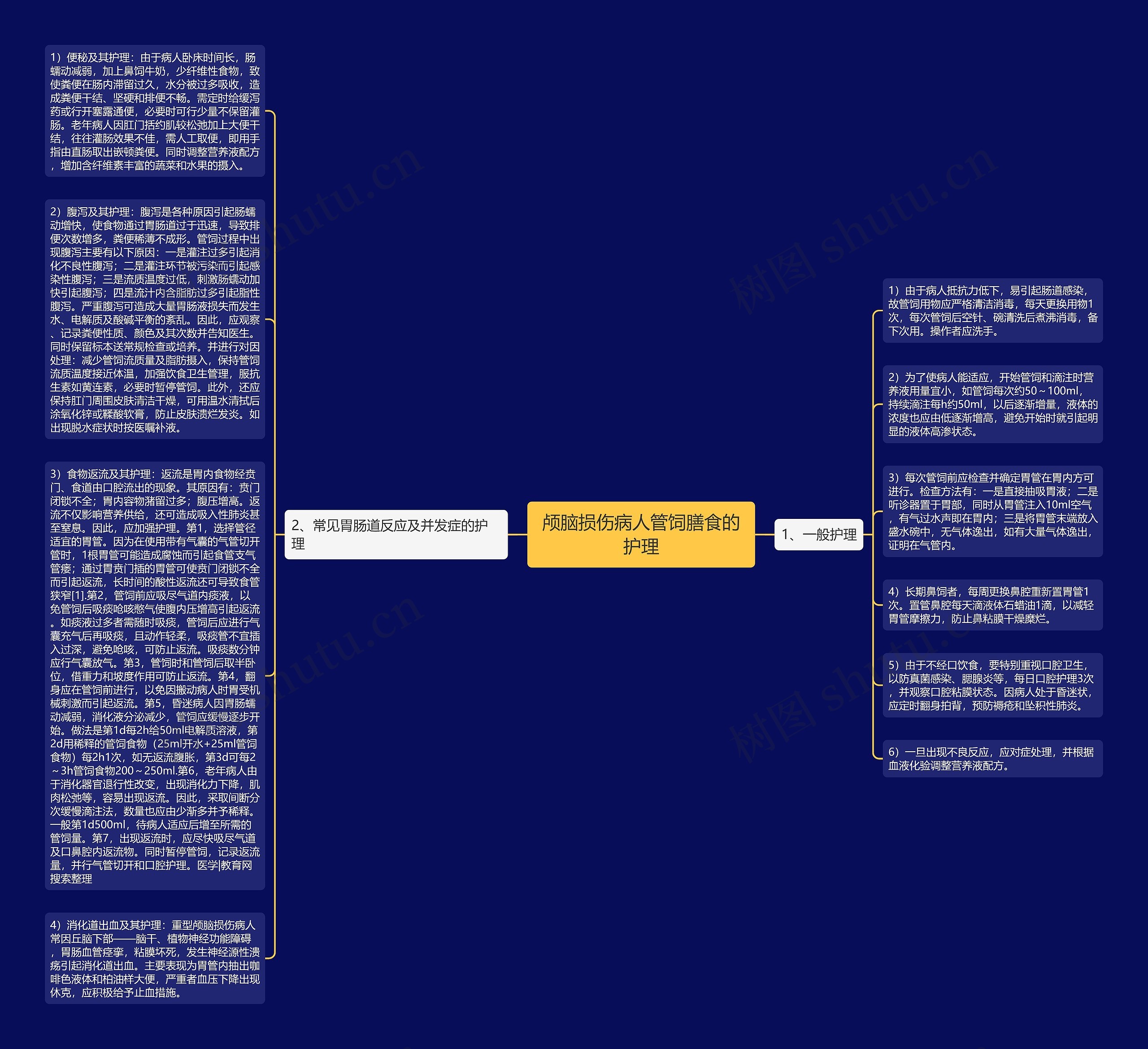 颅脑损伤病人管饲膳食的护理思维导图